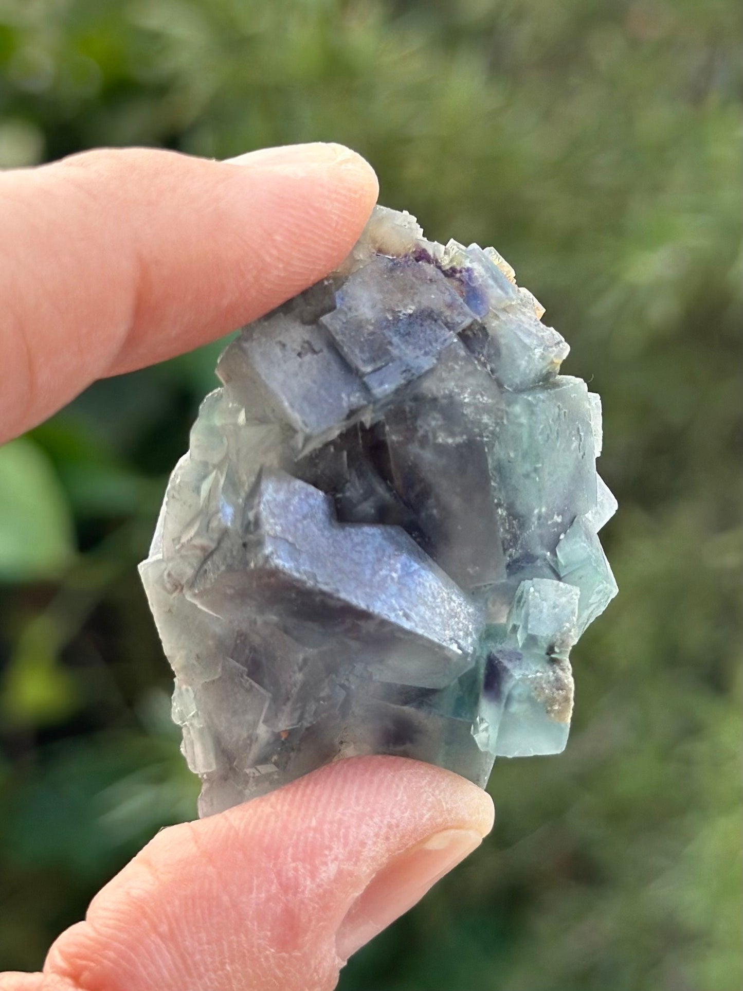 Fluorite in perky box from the Yindu Mine, Inner Mongolia, China