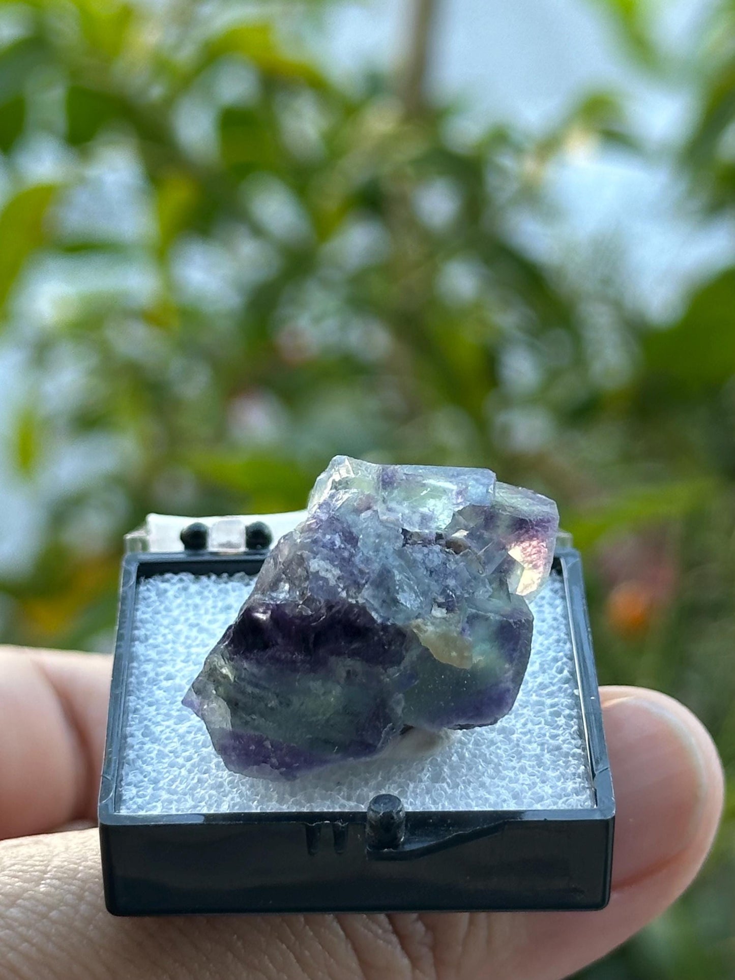 Fluorite from the Yindu Mine