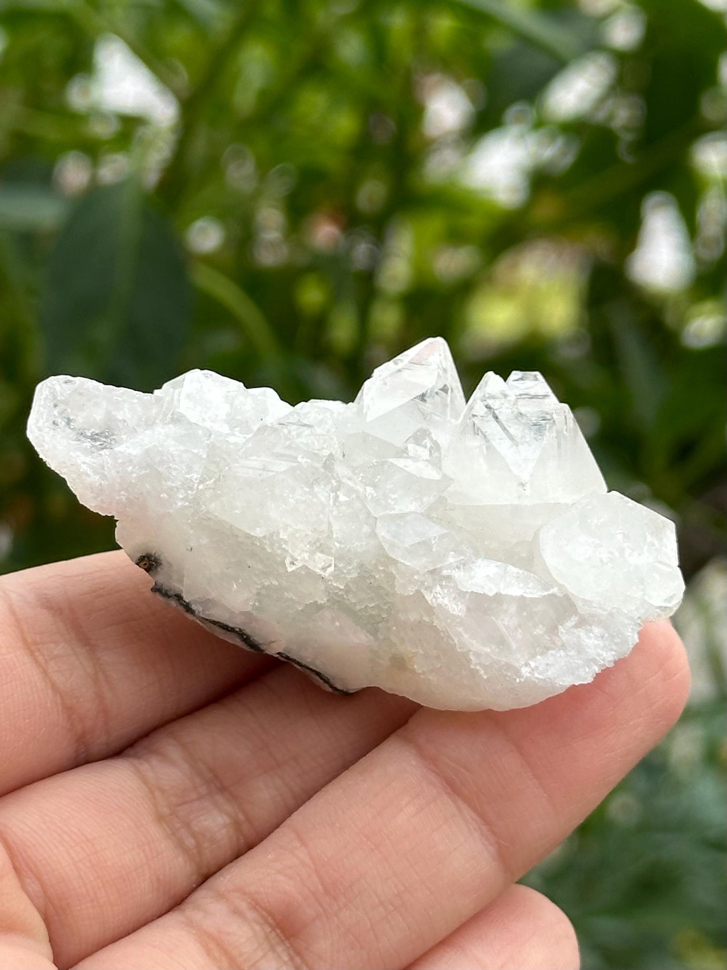 Apophyllite from India