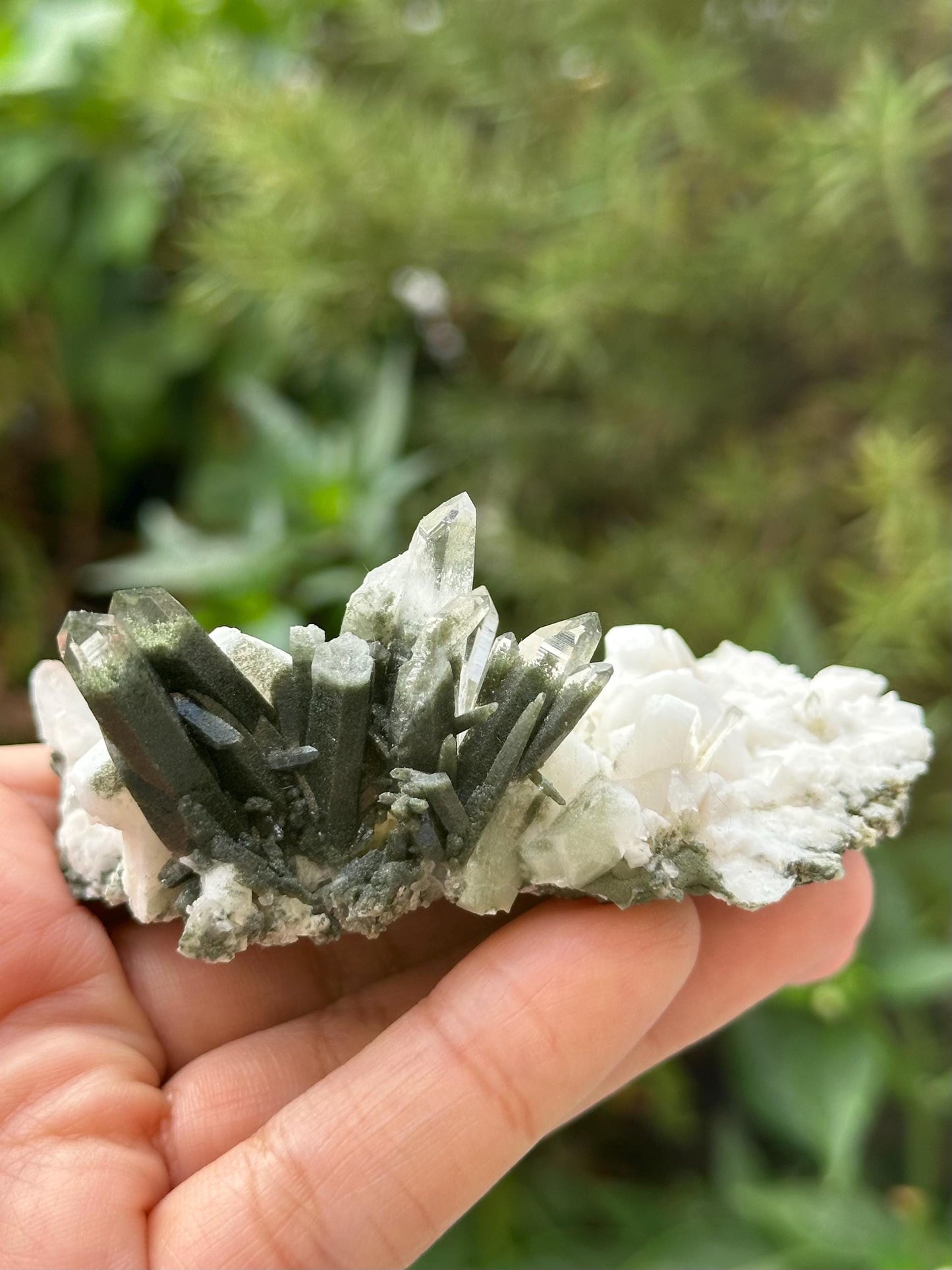 Quartz and Chlorite Specimen from Nepal