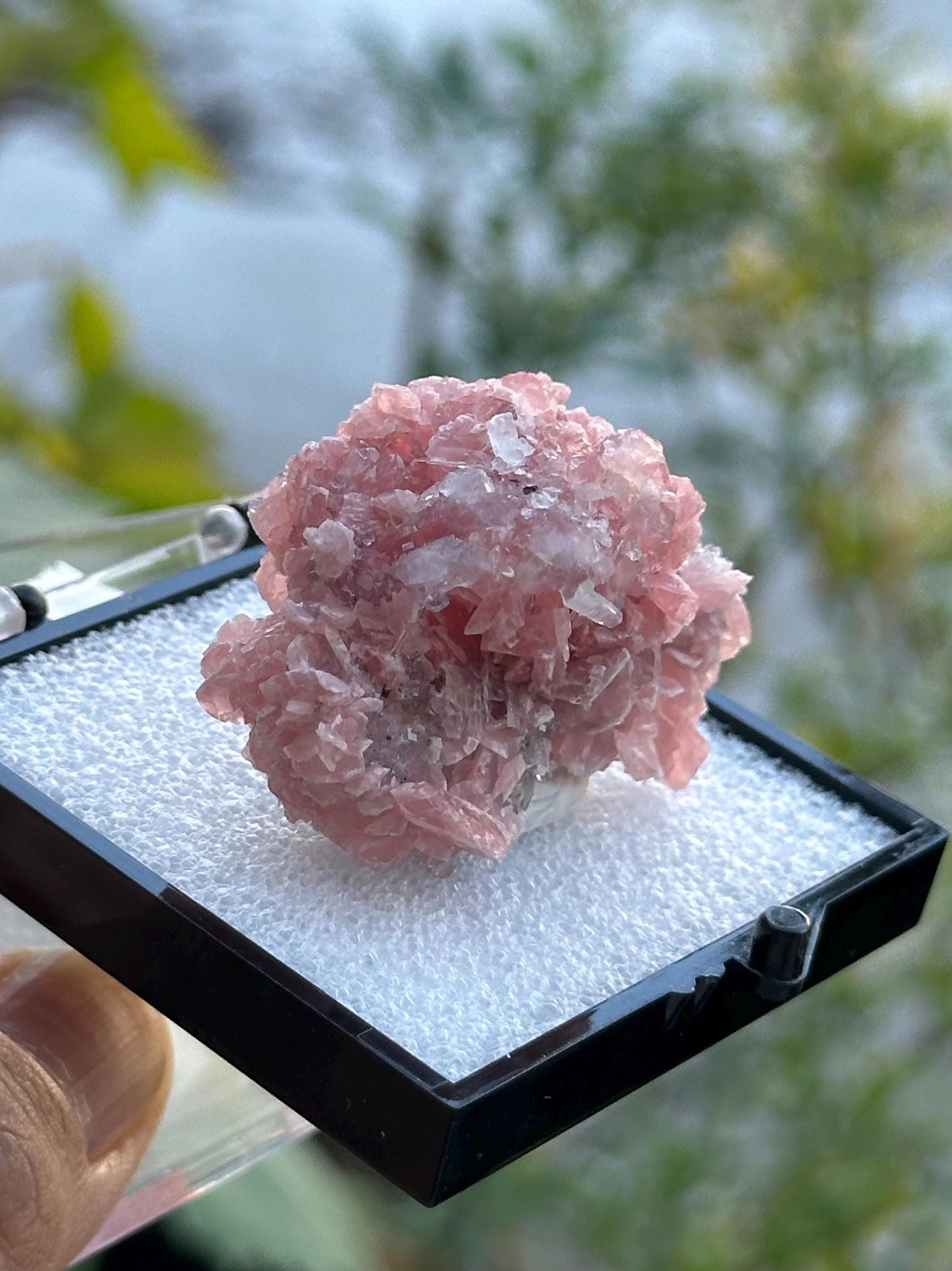 Rhodochrosite with Quartz Specimen