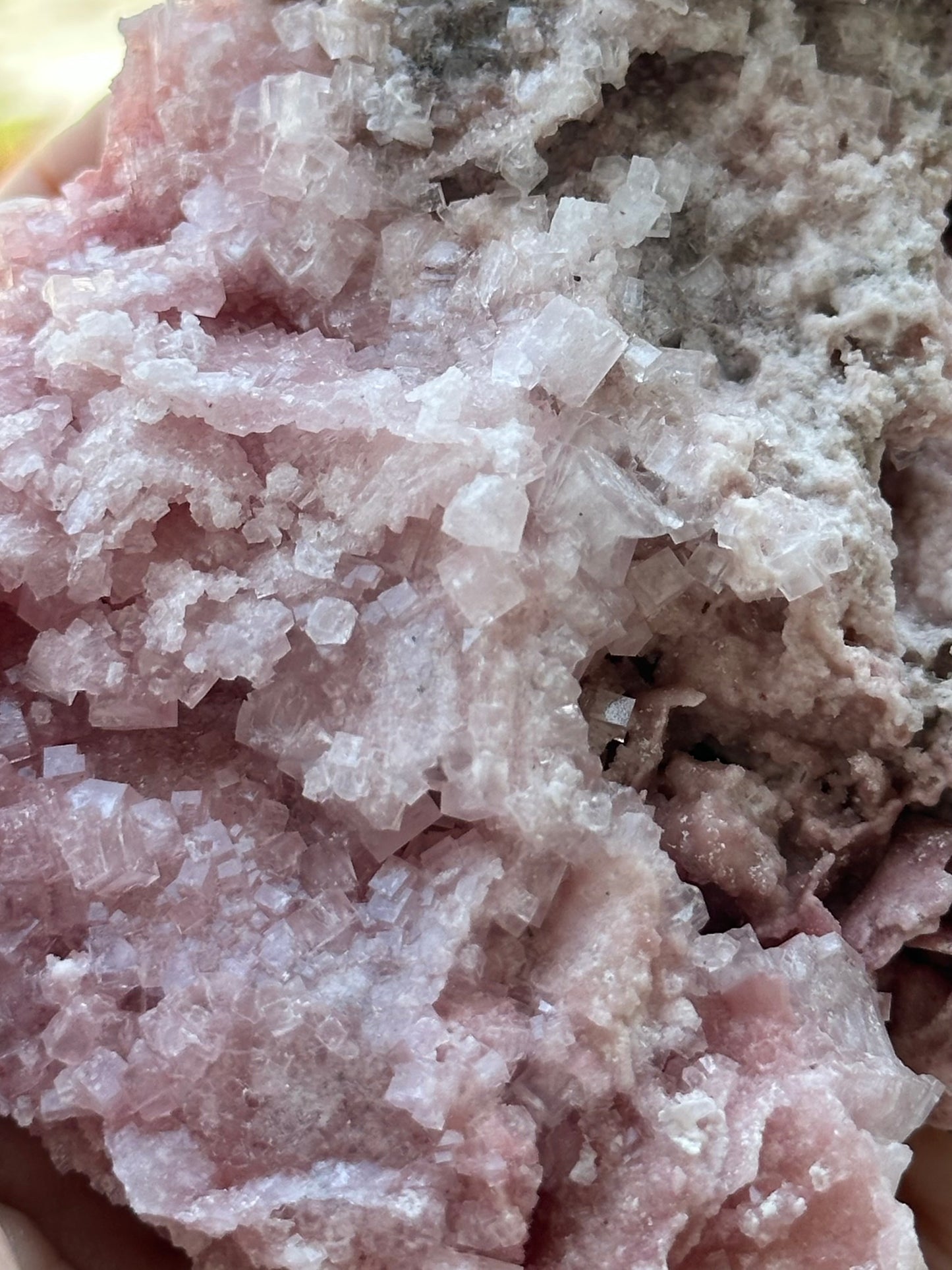 Pink Halite from Searles Lake, California