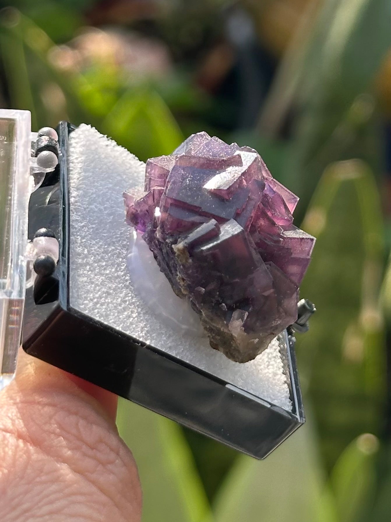 Fluorite in a perky box from Anhui, China
