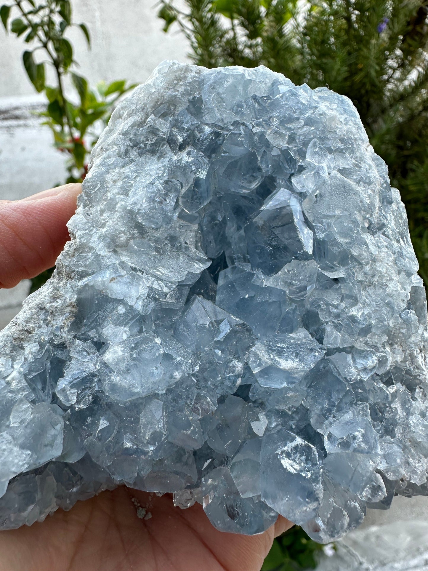 Celestite Cluster from Madagascar