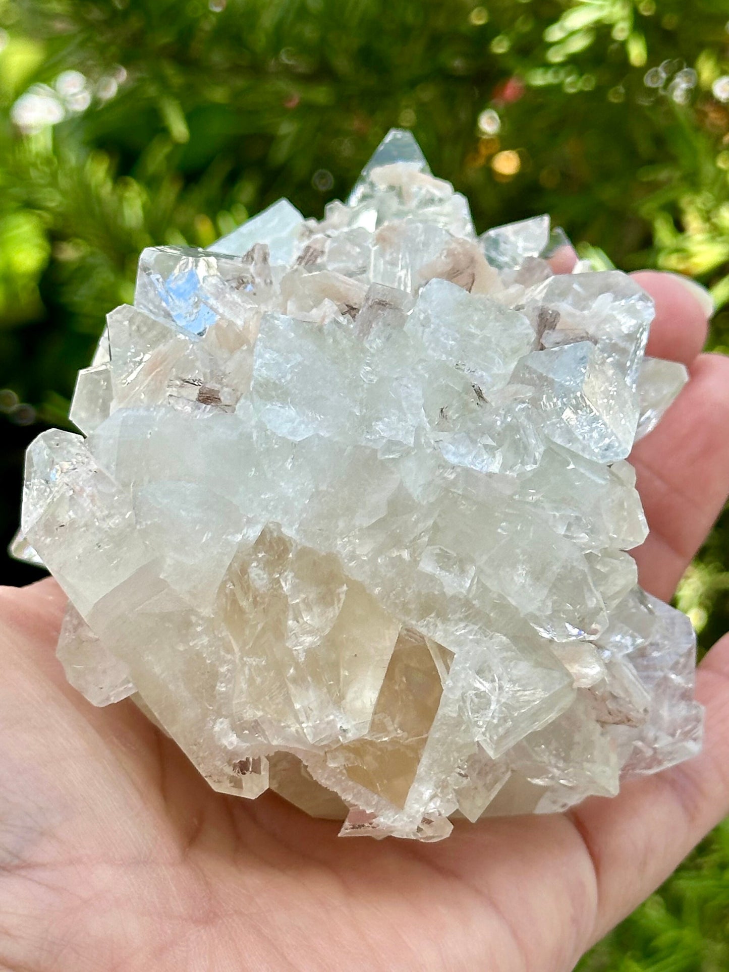 Apophyllite Specimen