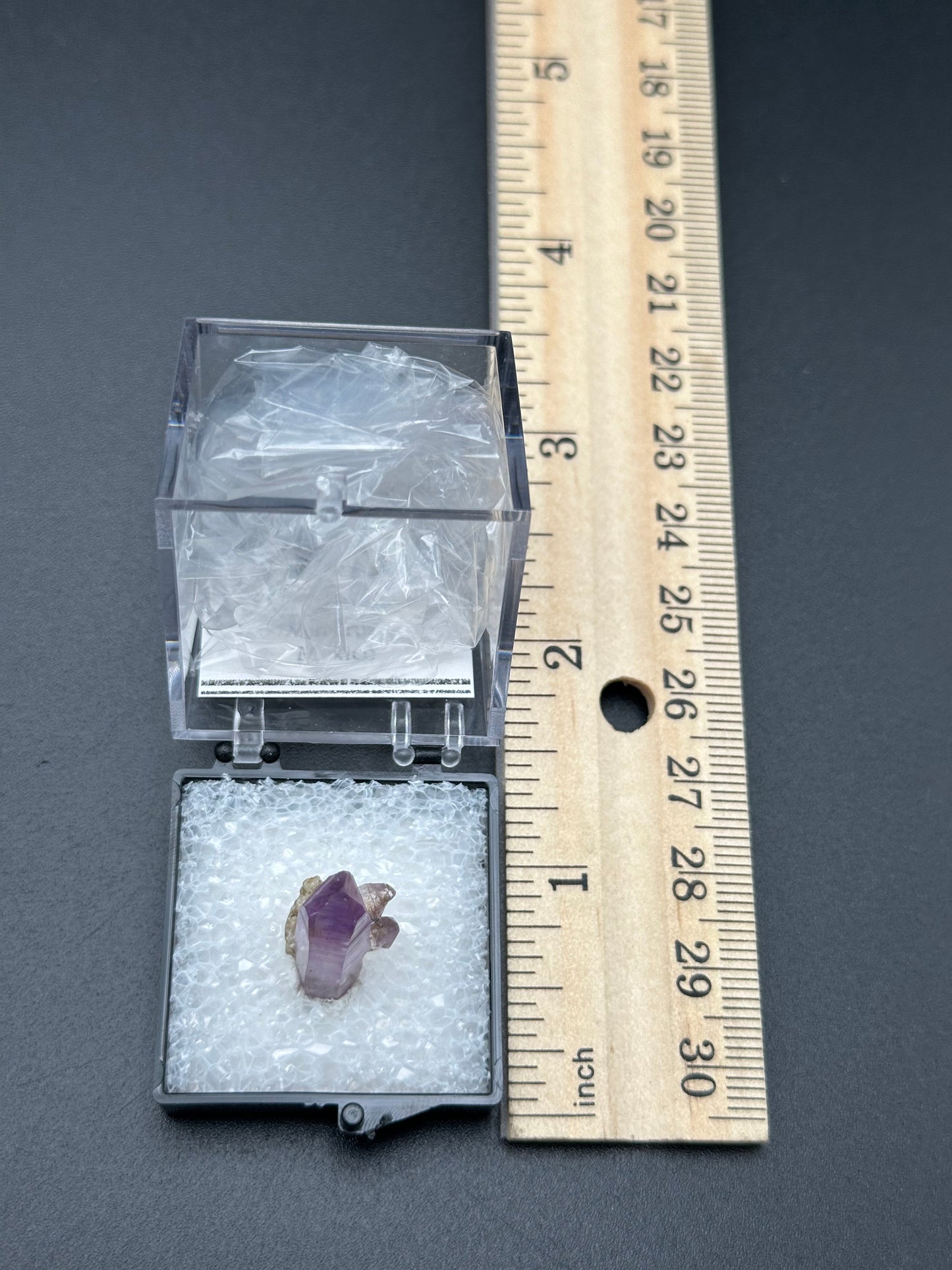 Veracruz Amethyst in a perky box from Veracruz, Mexico