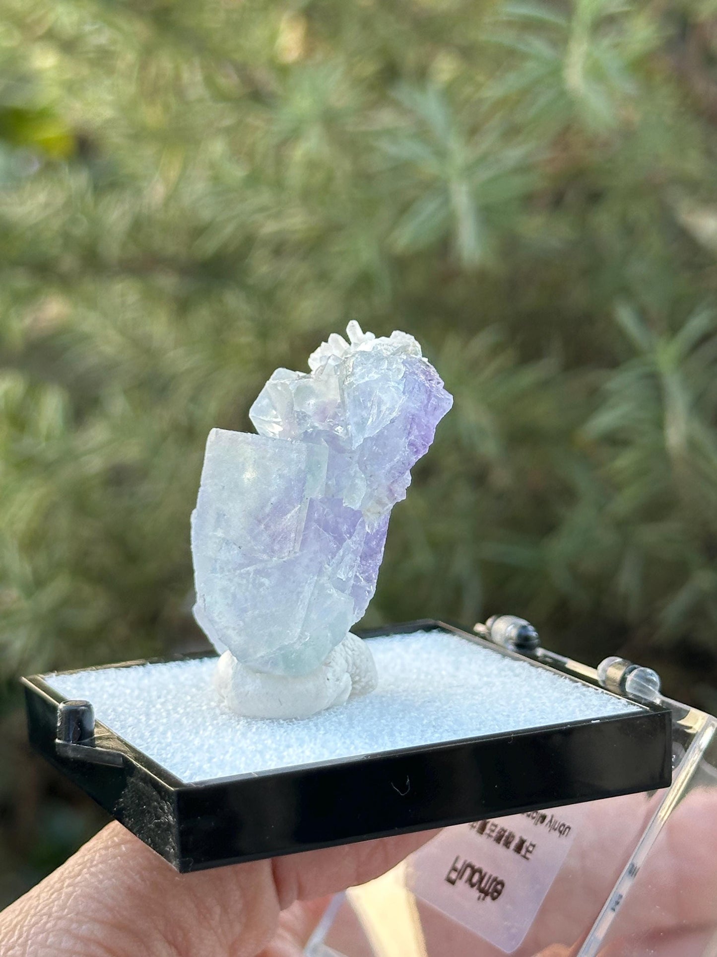 Yindu Fluorite