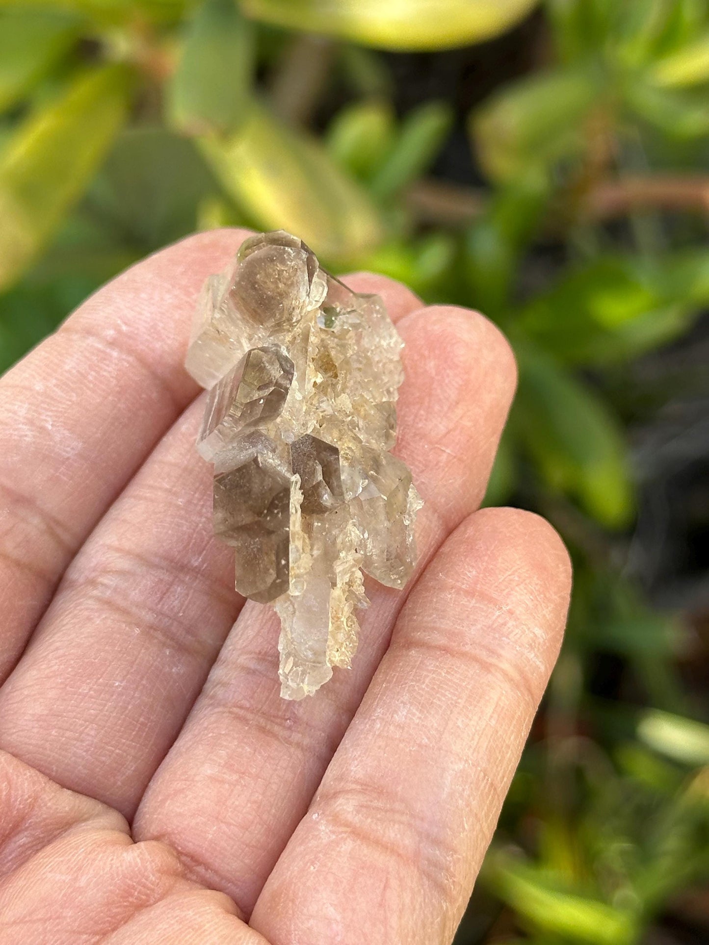 Smoky Quartz