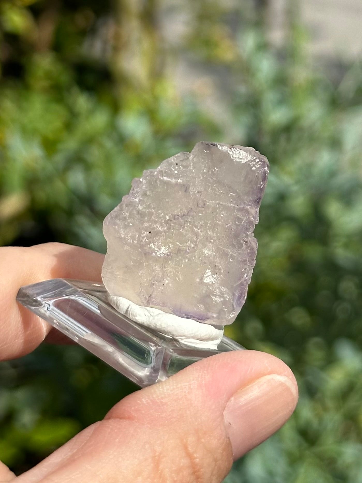 Fluorite from the Elmwood Mine