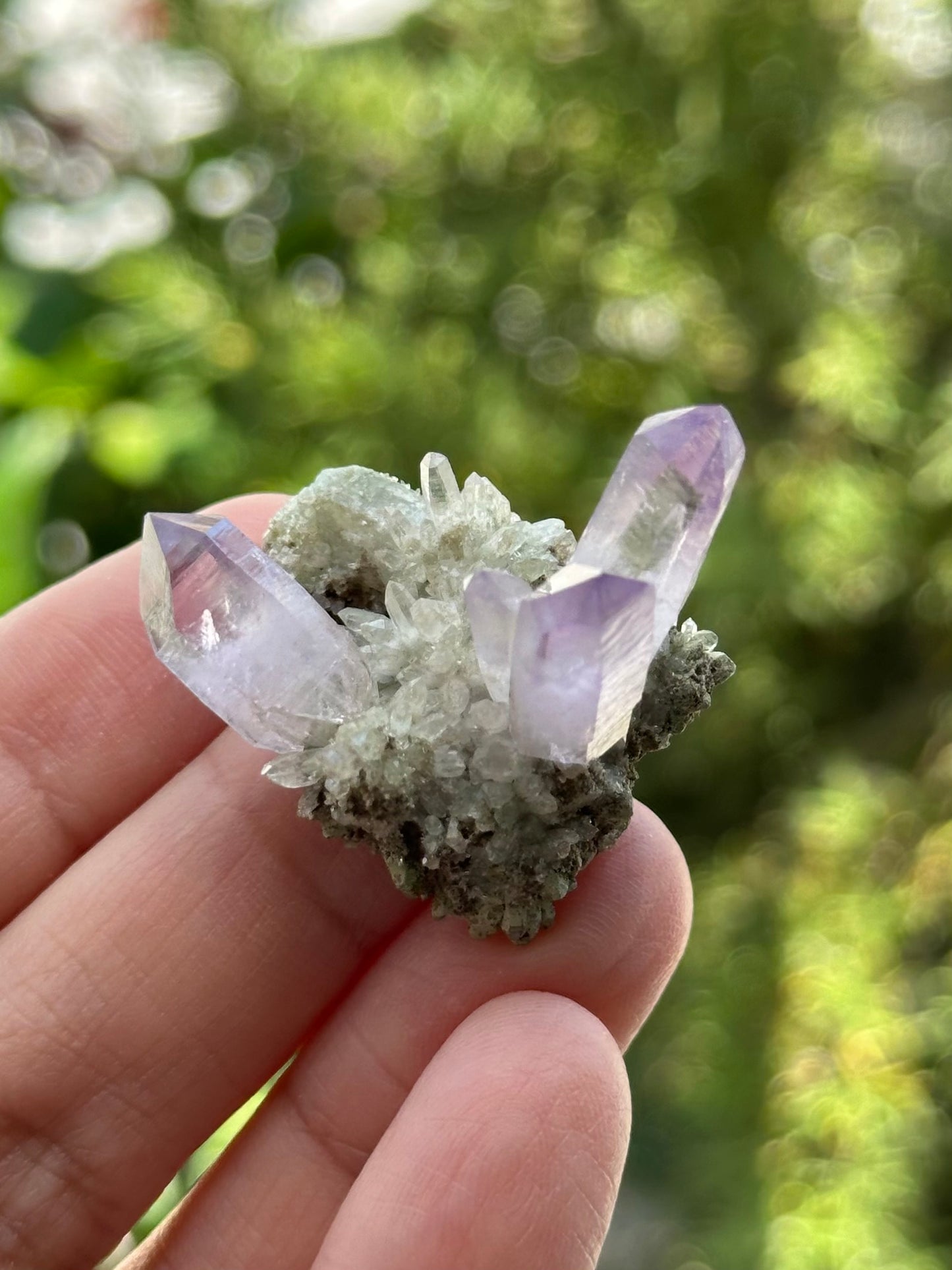 Veracruz Amethyst Cluster on Matrix