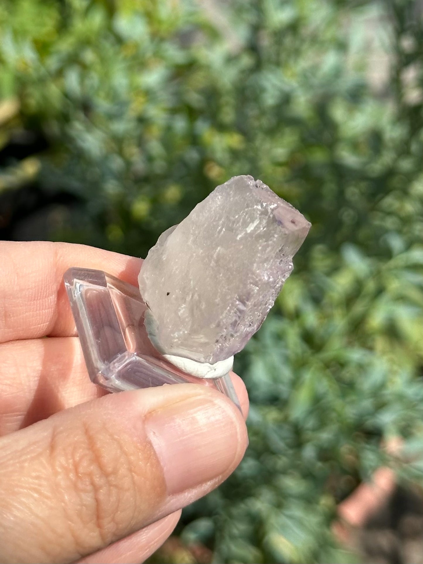 Fluorite from the Elmwood Mine
