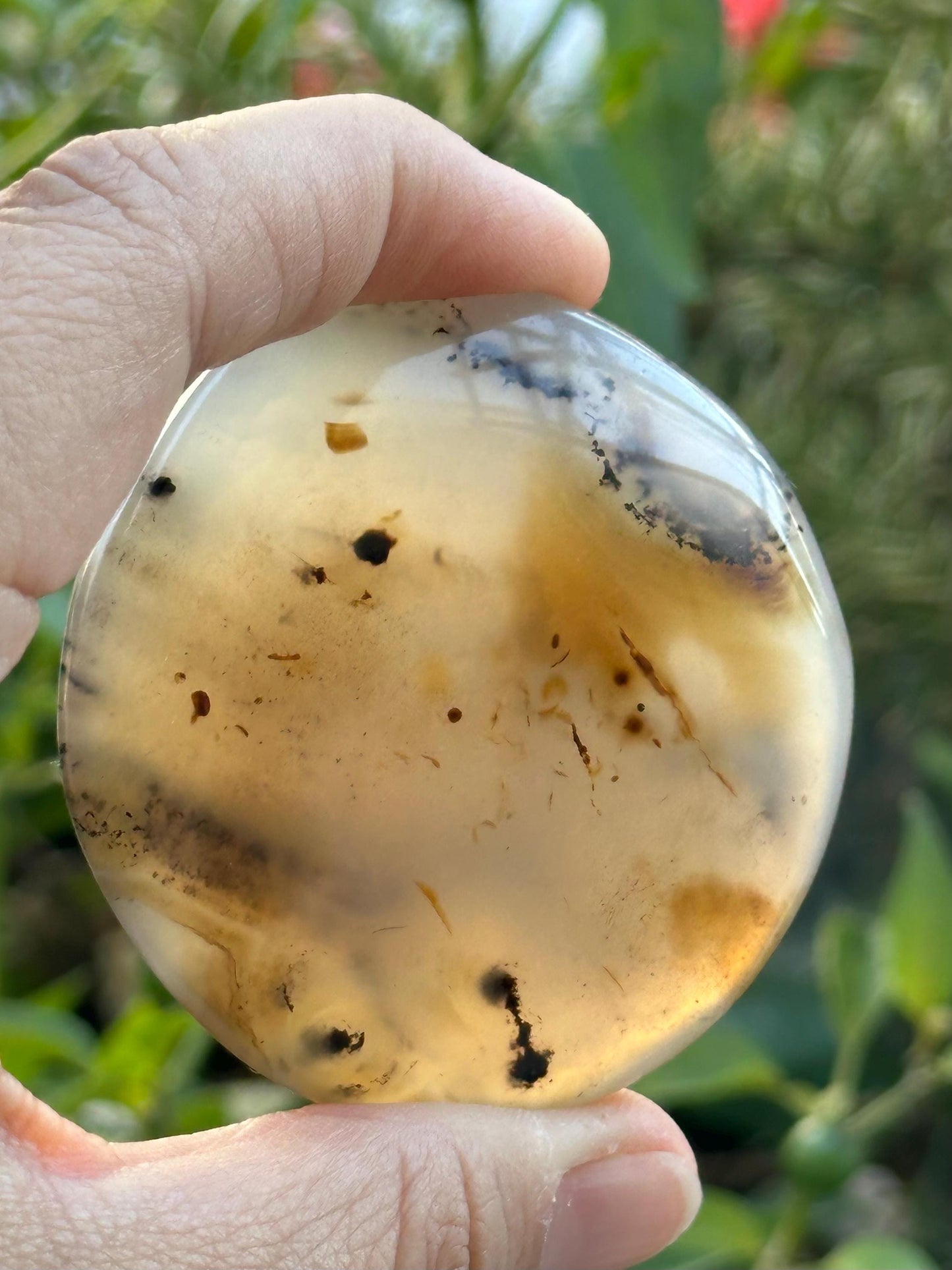 Dendritic Agate Palm Stone