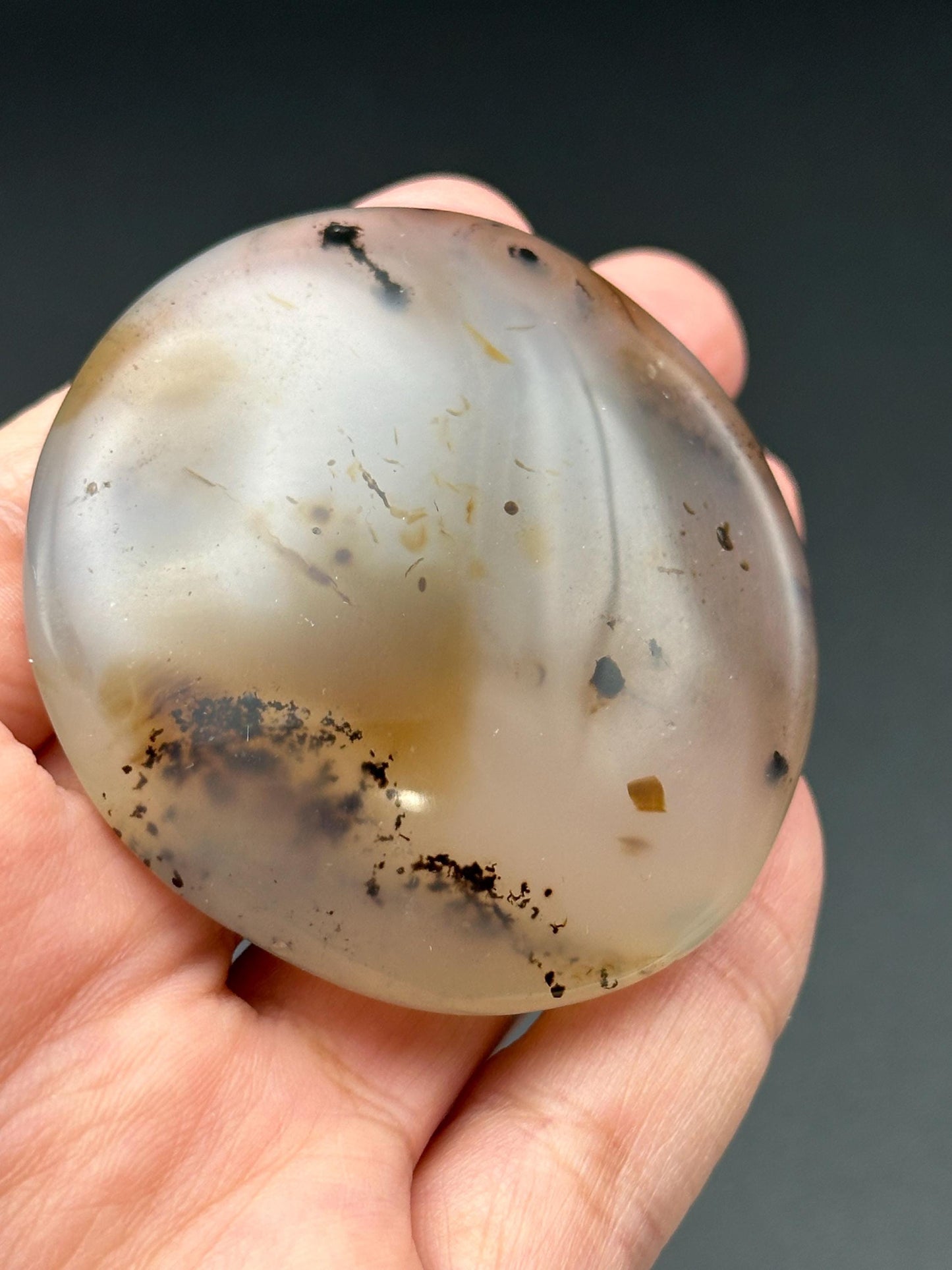 Dendritic Agate Palm Stone