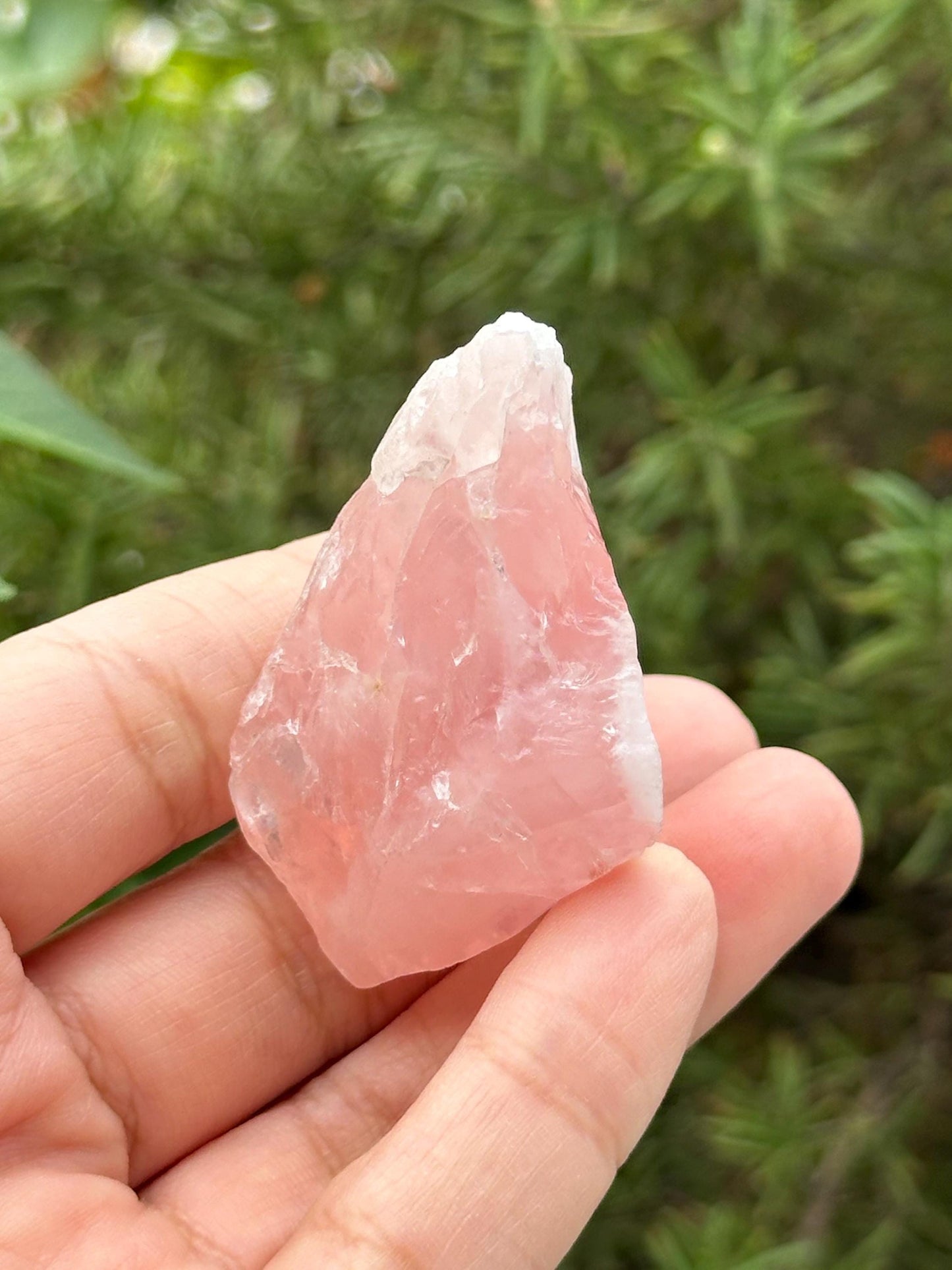 Raw Rose Quartz from Brazil