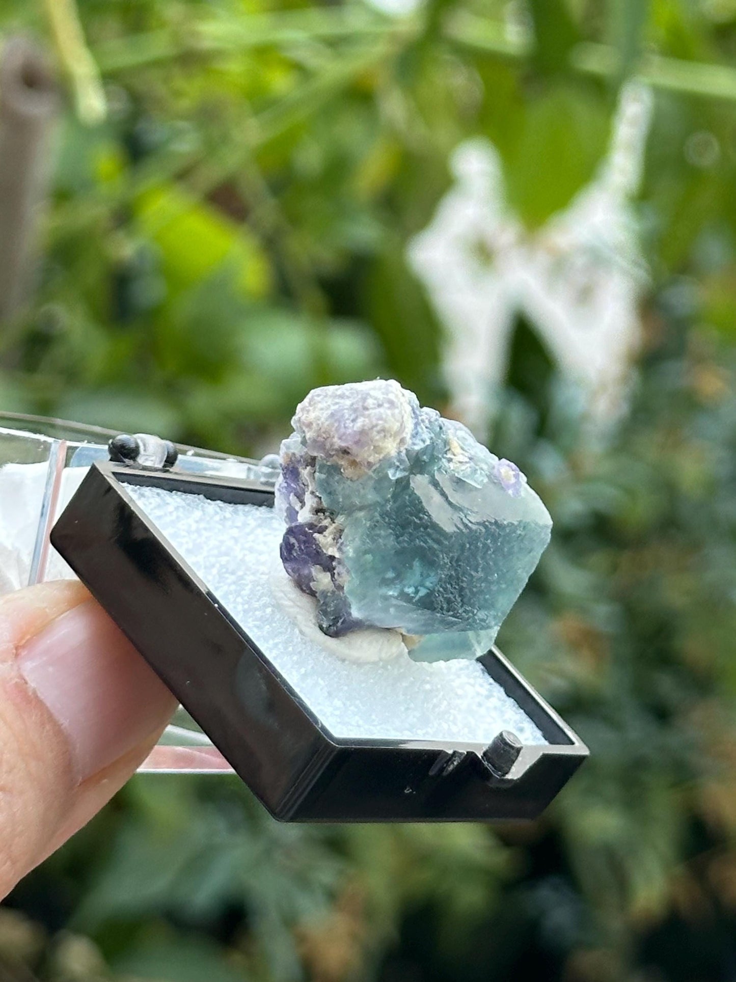 Fluorite from the Yindu Mine