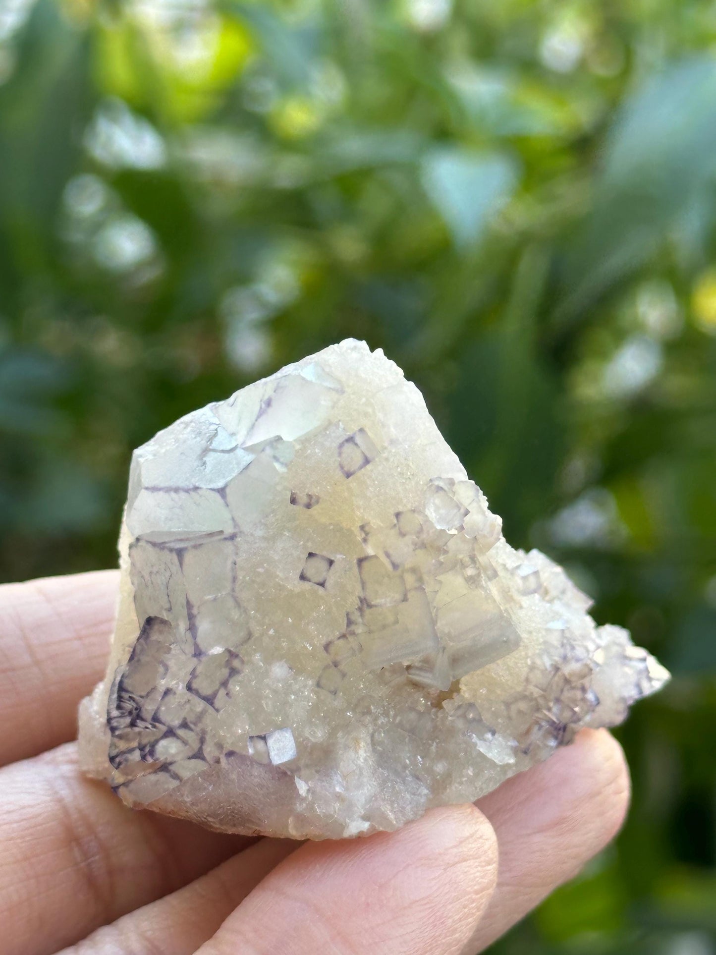 QR Code Fluorite