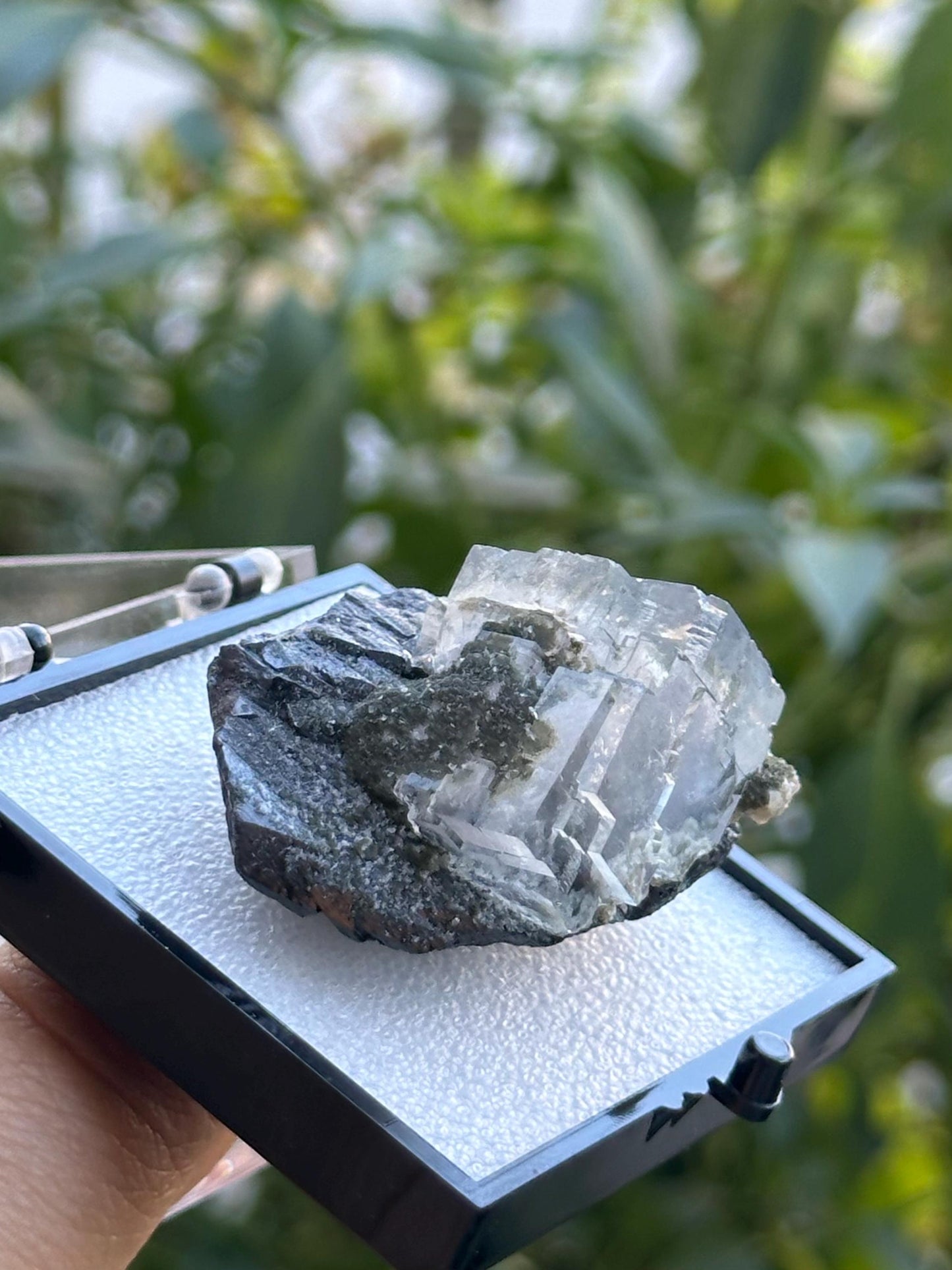 Wolframite Fluorite from the Yaogangxian Mine