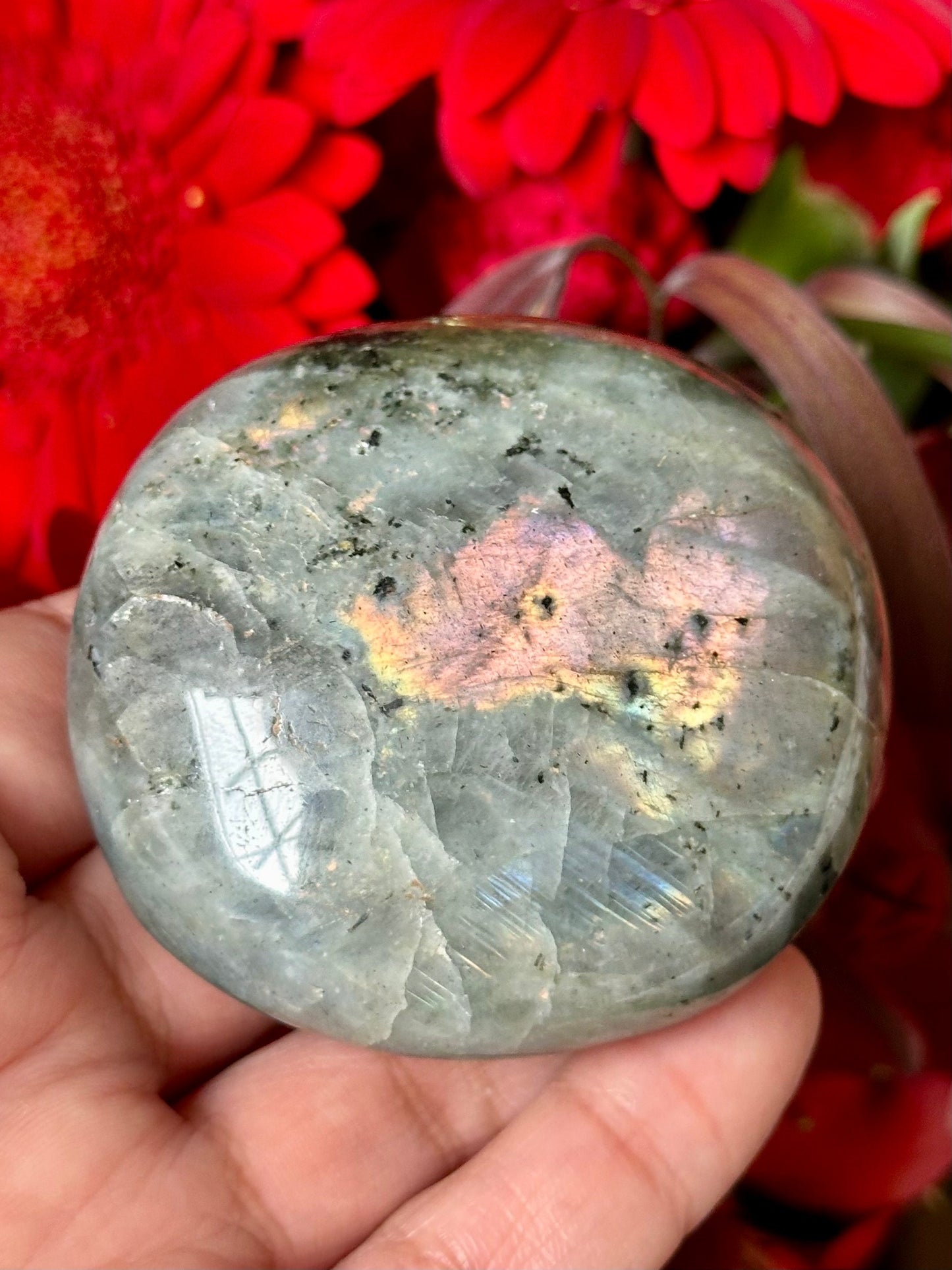 Labradorite Palm Stone from Madagascar