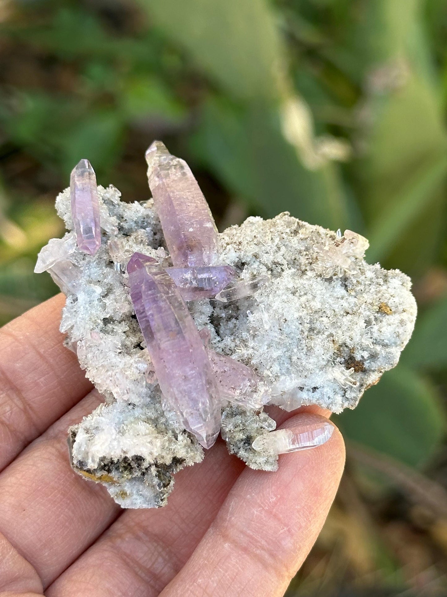 Veracruz Amethyst Crystals on Matrix