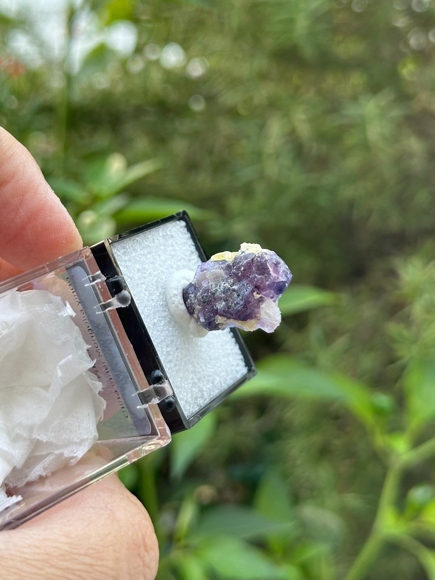 Yindu Fluorite