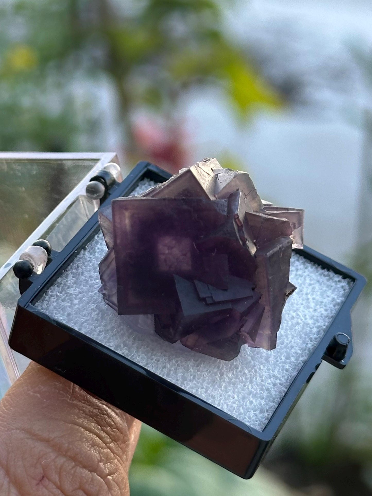 Purple Fluorite from Anhui, China