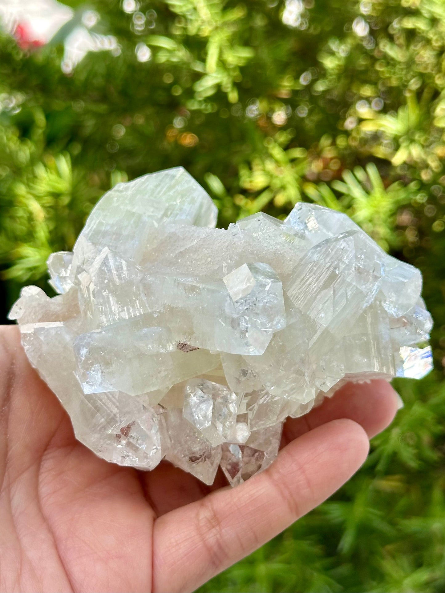 Apophyllite Specimen