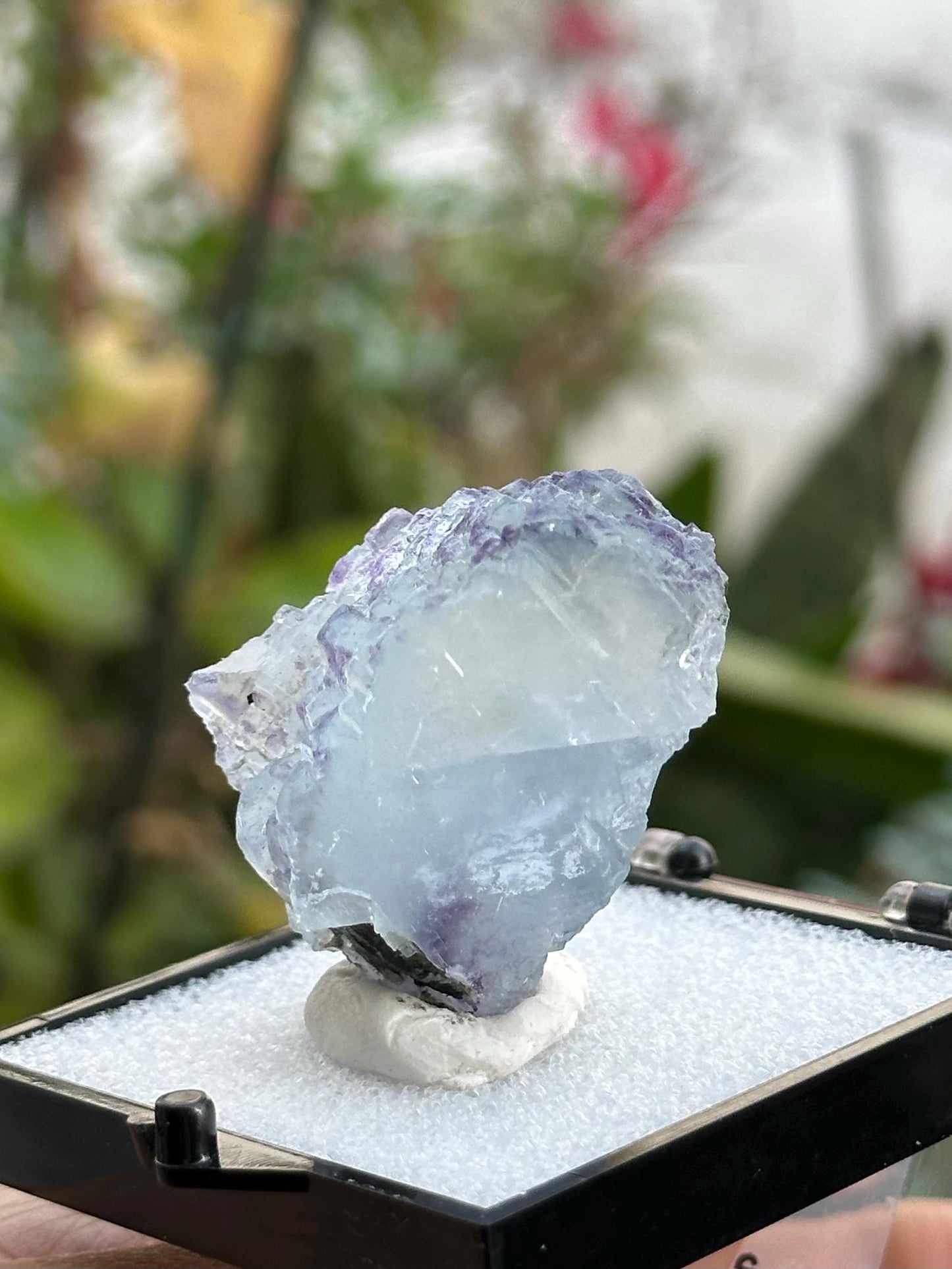 YGX Fluorite in a perky box from the Yaogangxian Mine