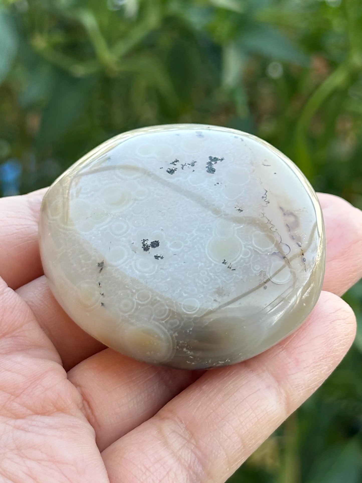 Dendritic Agate Palm Stone