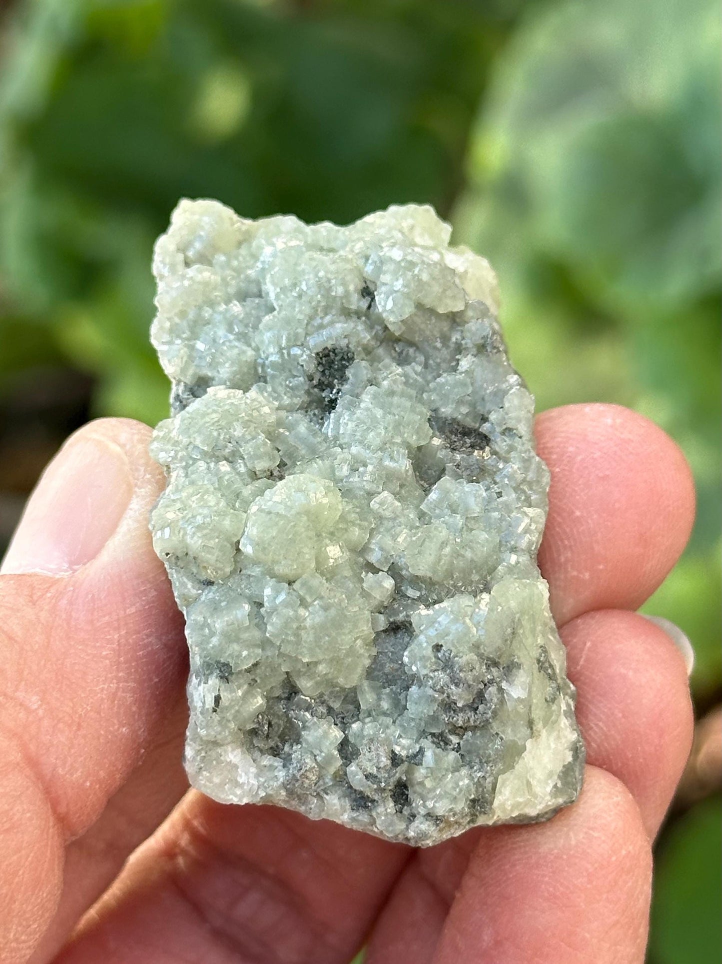 Prehnite Specimen