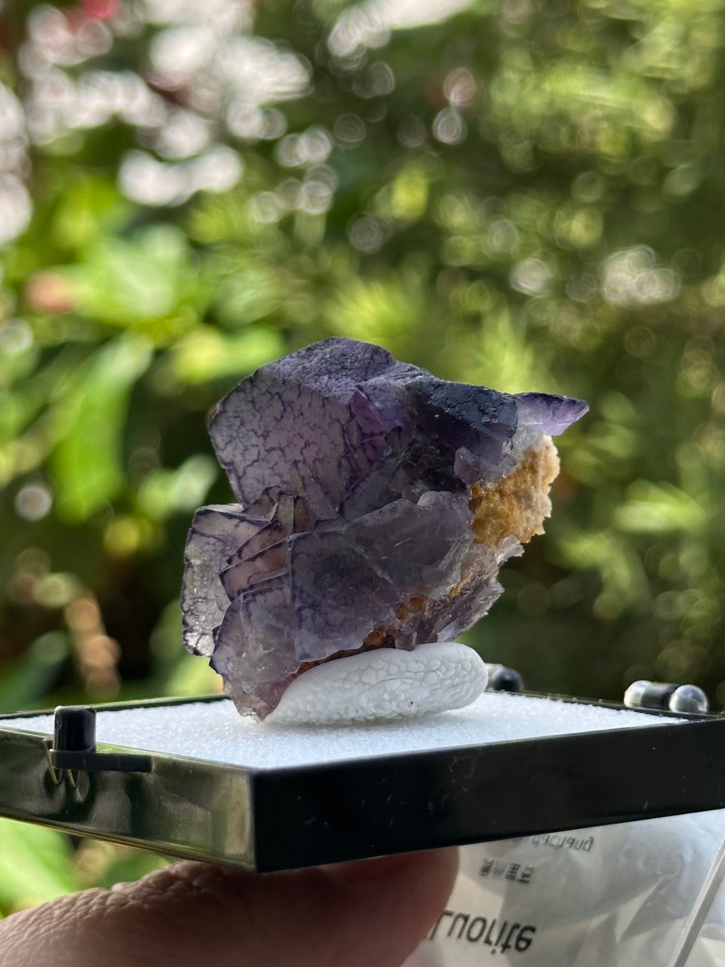 QR Code Fluorite Specimen in a perky box from the Quinlong Mine, Guizhou, China