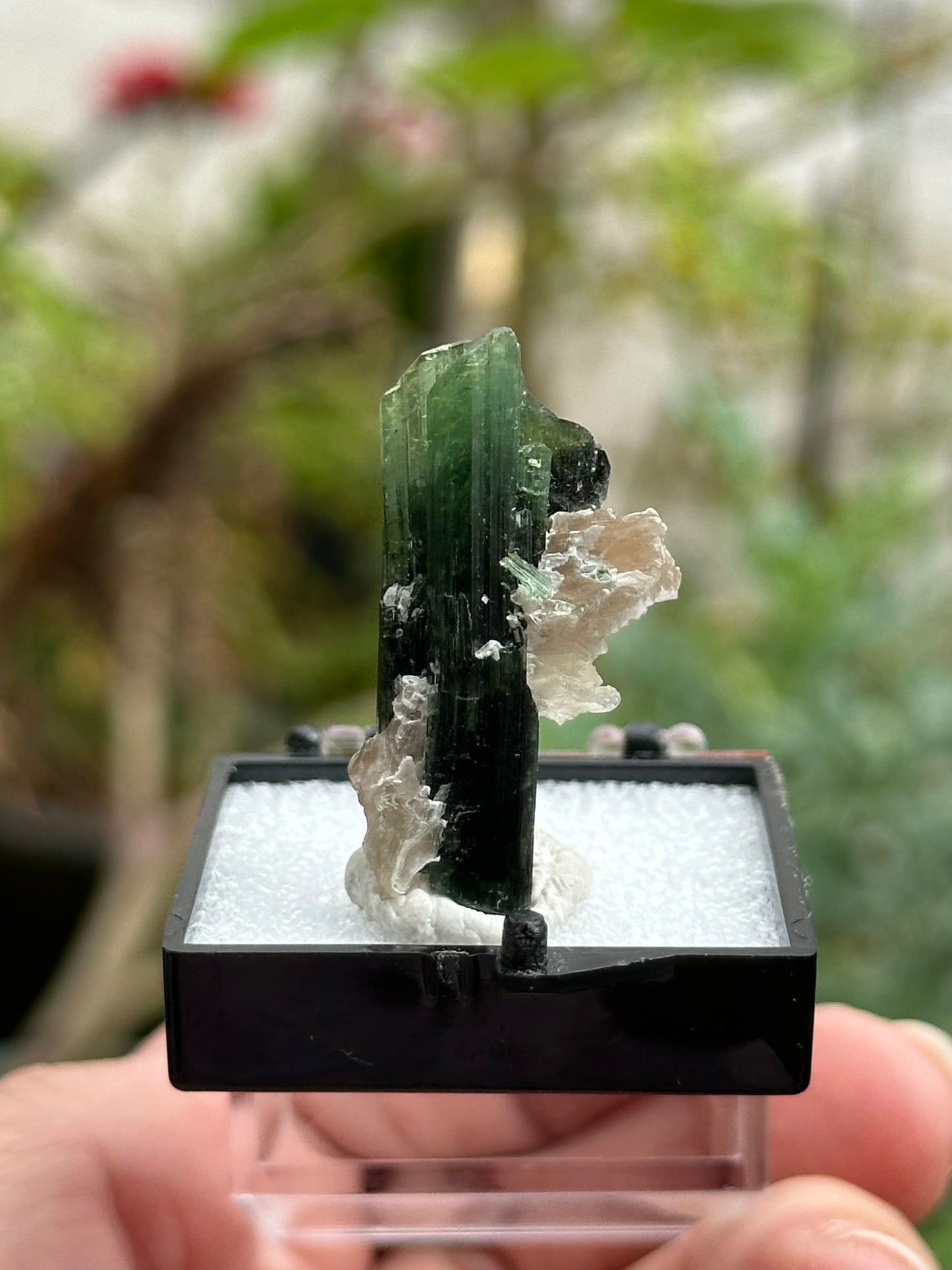 Green Tourmaline and Lepidolite from Stak Nala, Pakistan