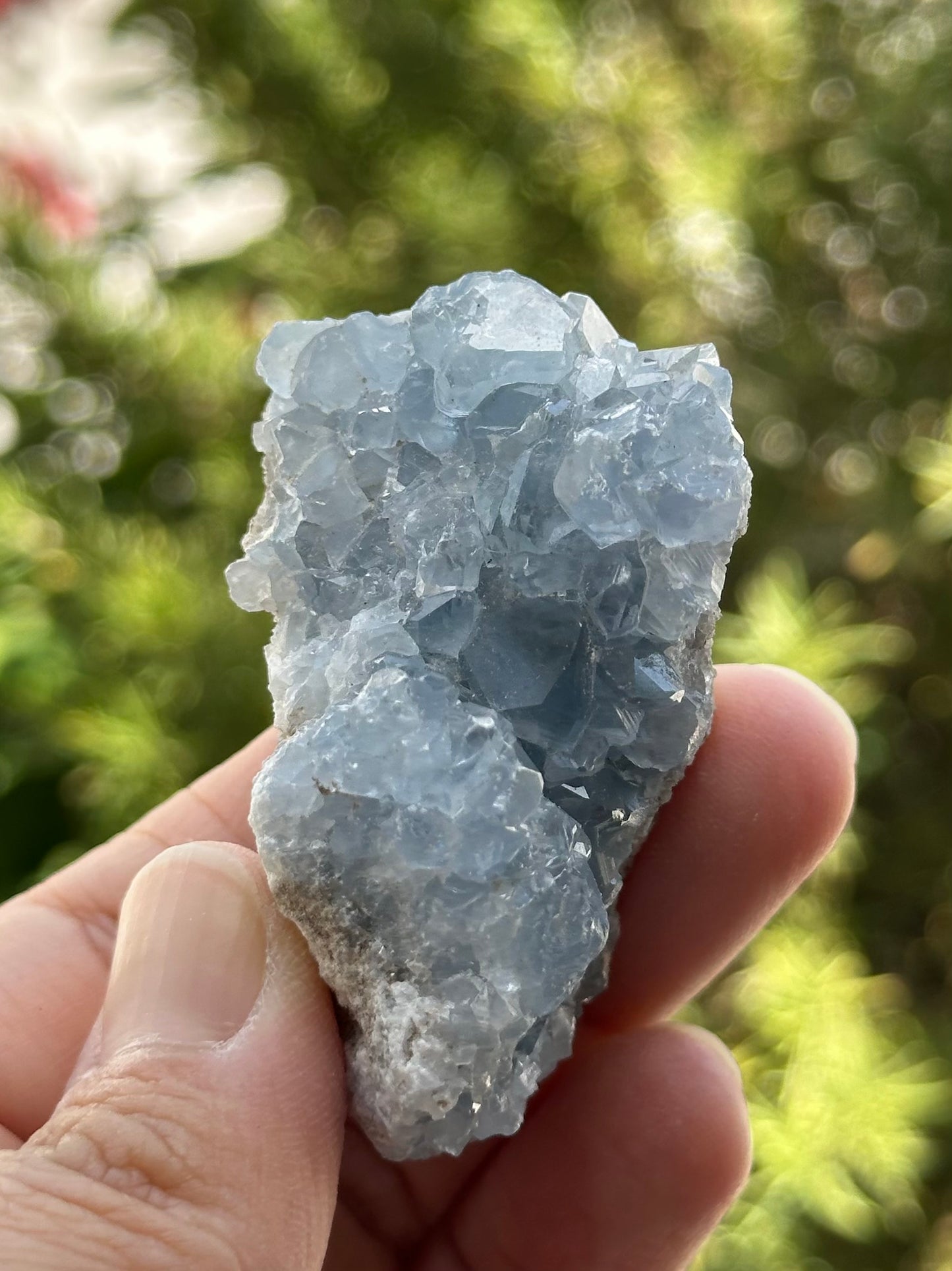Celestite Cluster from Madagascar