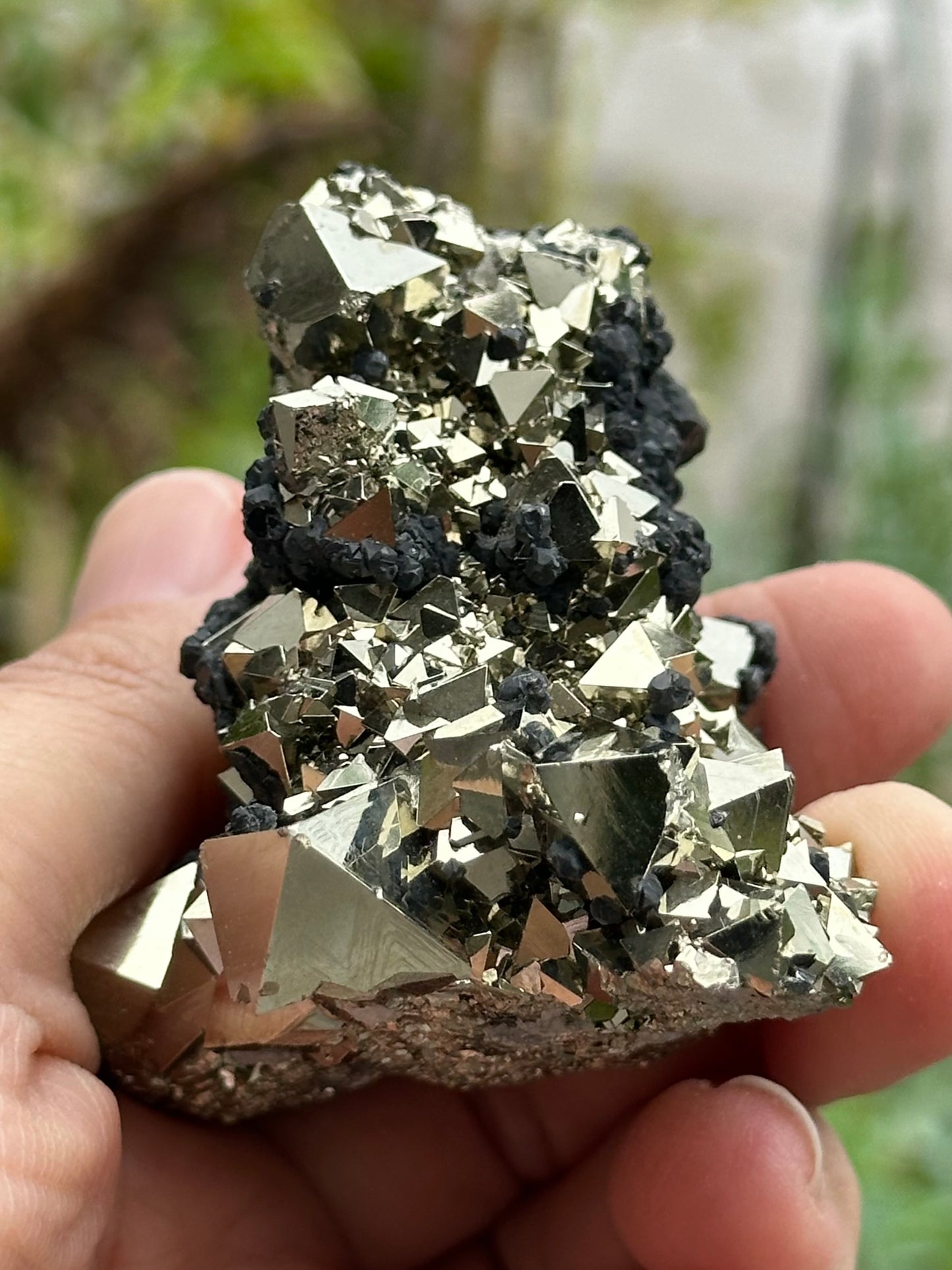 Pyrite Specimen from the Huanzala Mine, Peru
