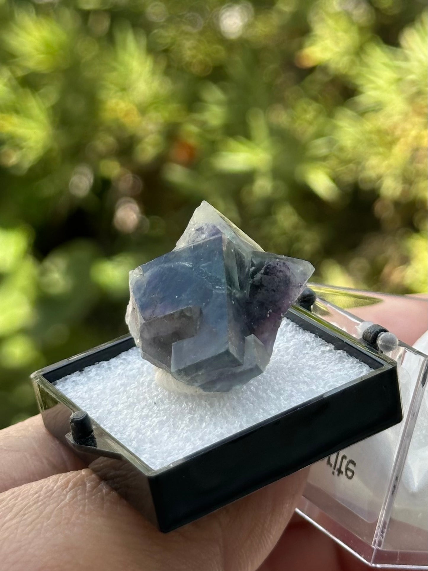Yindu Fluorite
