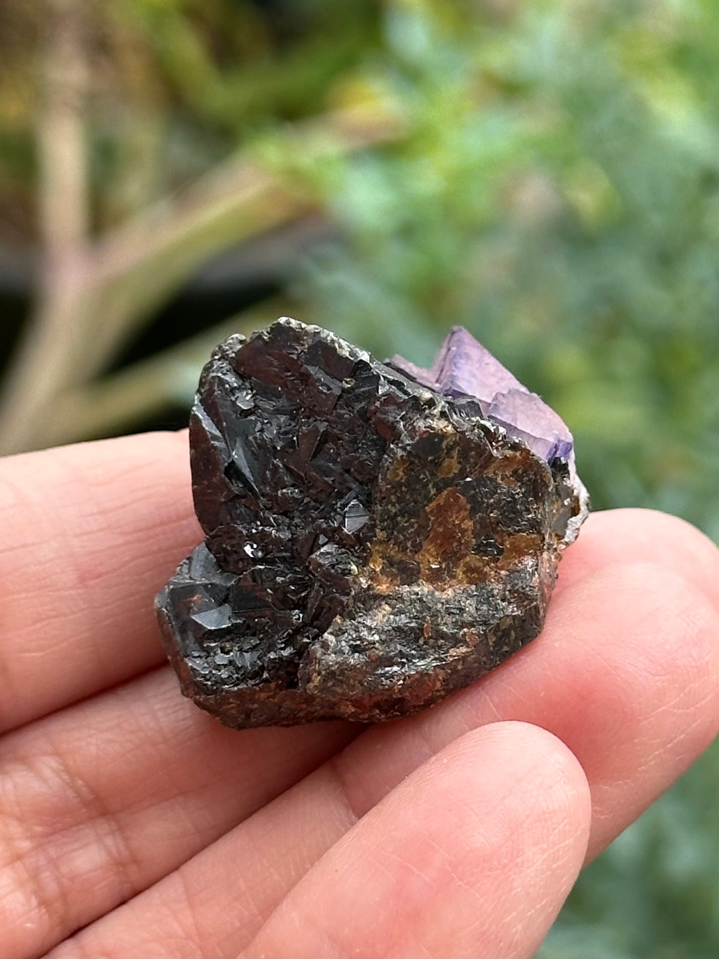 Sphalerite with Fluorite from the Elmwood Mine