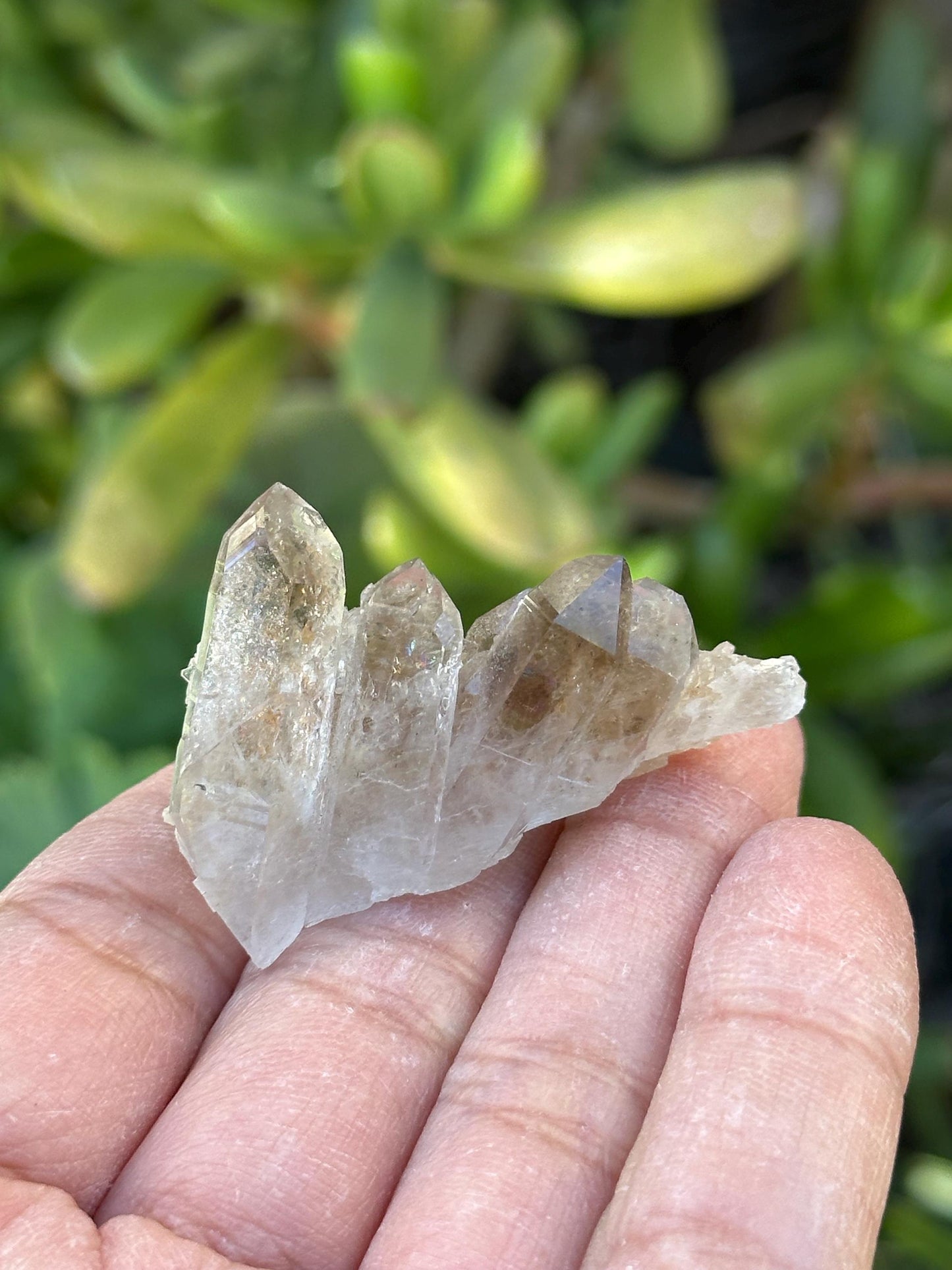 Smoky Quartz