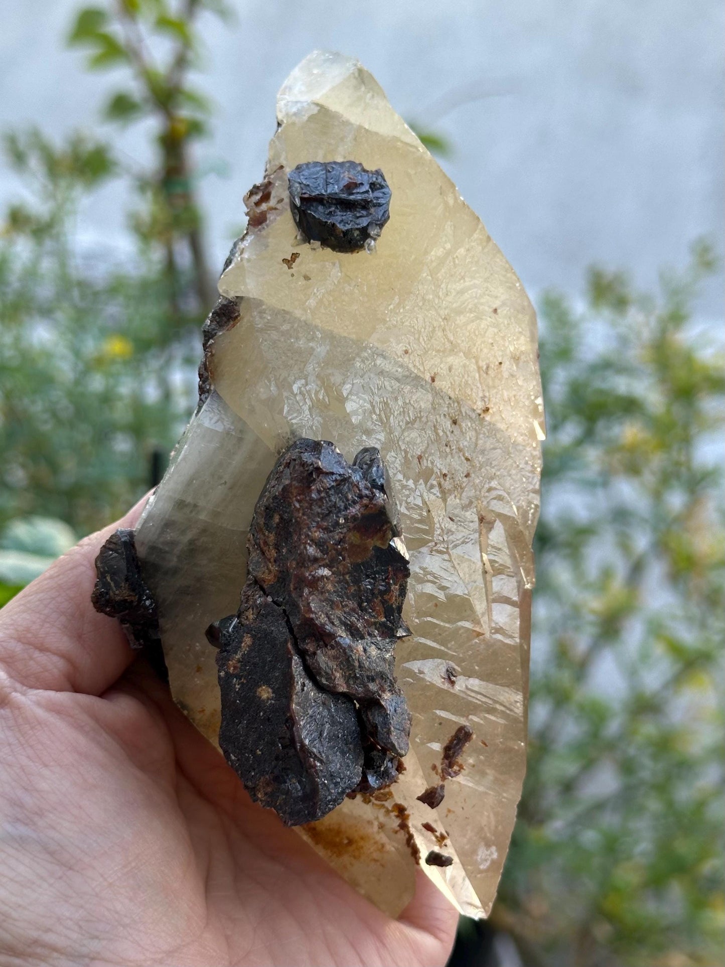 Elmwood Calcite with Sphalerite
