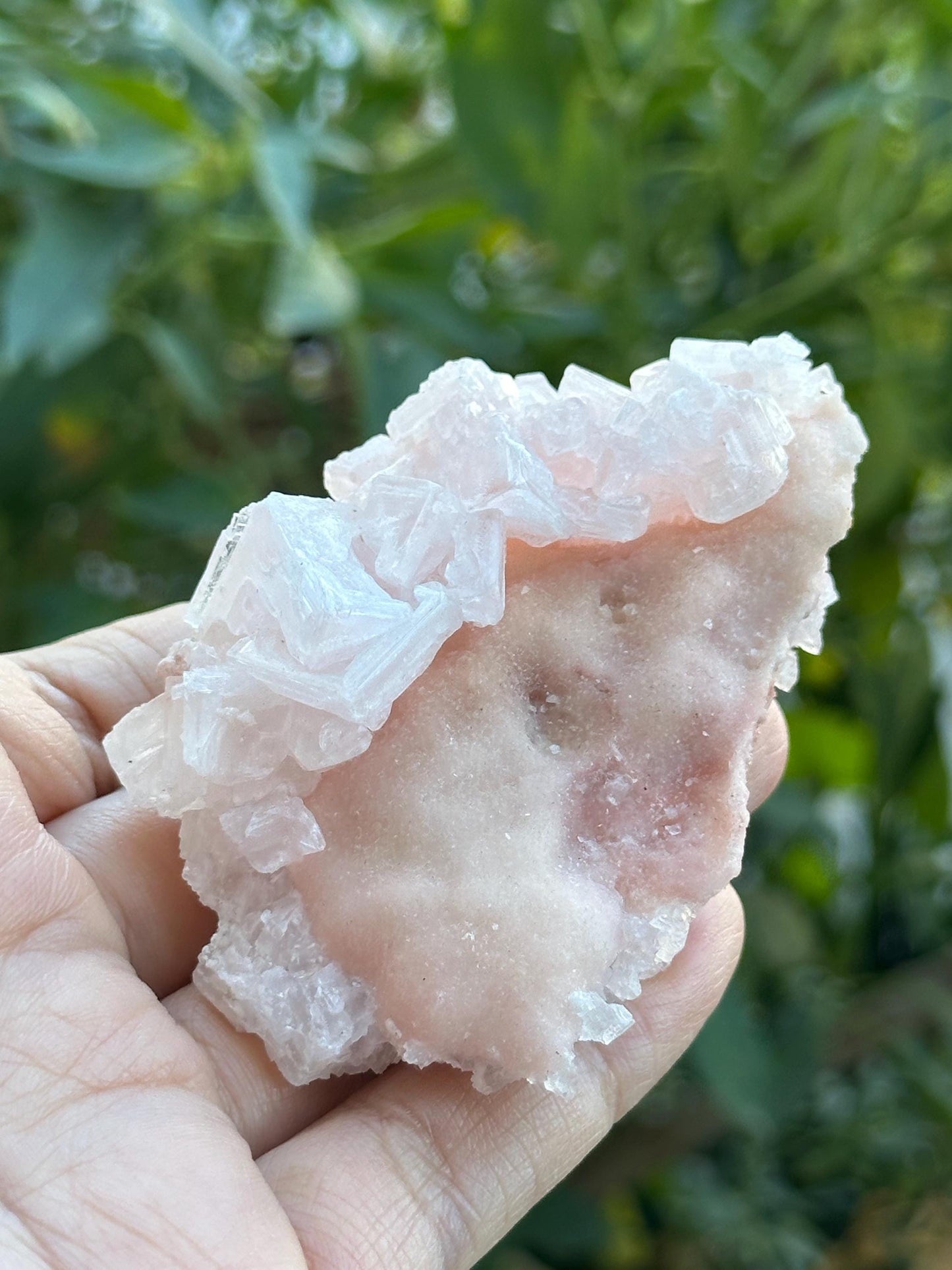 Light Pink Halite on Trona