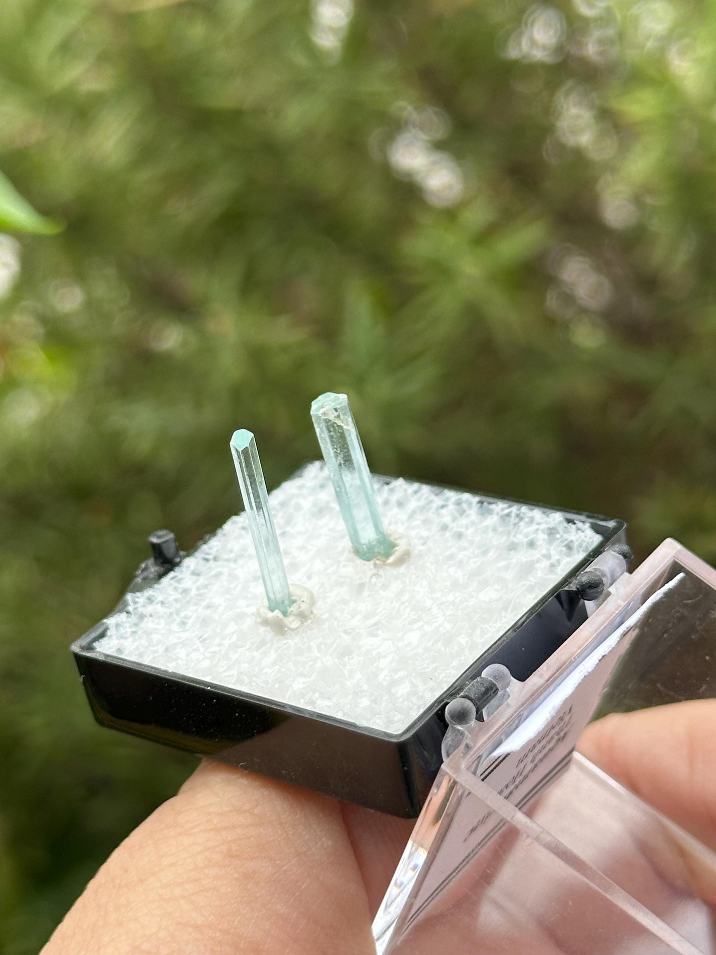 Aquamarine Crystals