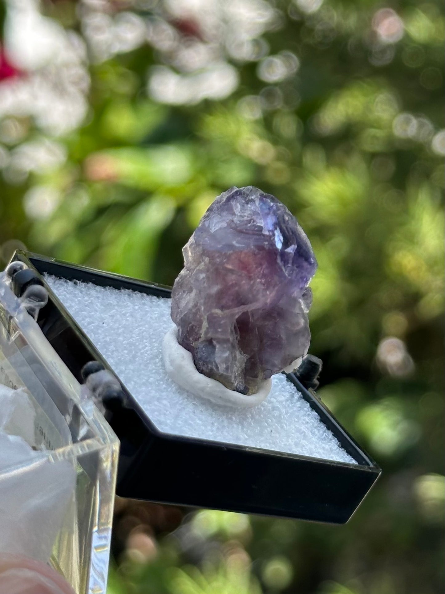 Yindu Fluorite in a perky box from Inner Mongolia, China
