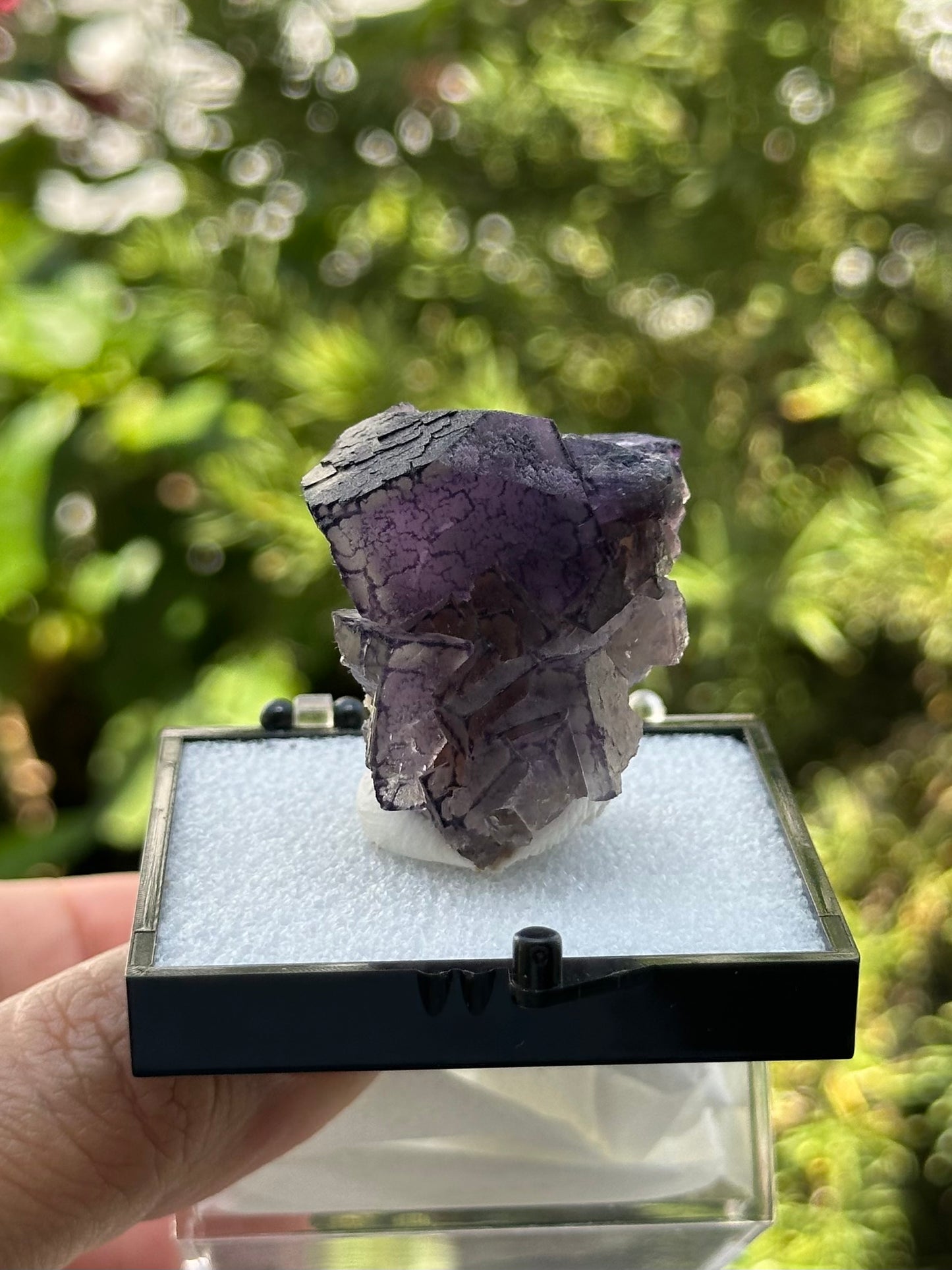 QR Code Fluorite Specimen in a perky box from the Quinlong Mine, Guizhou, China
