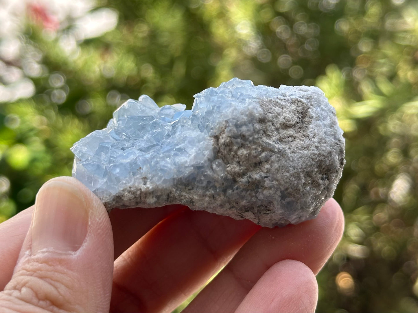 Celestite Cluster from Madagascar