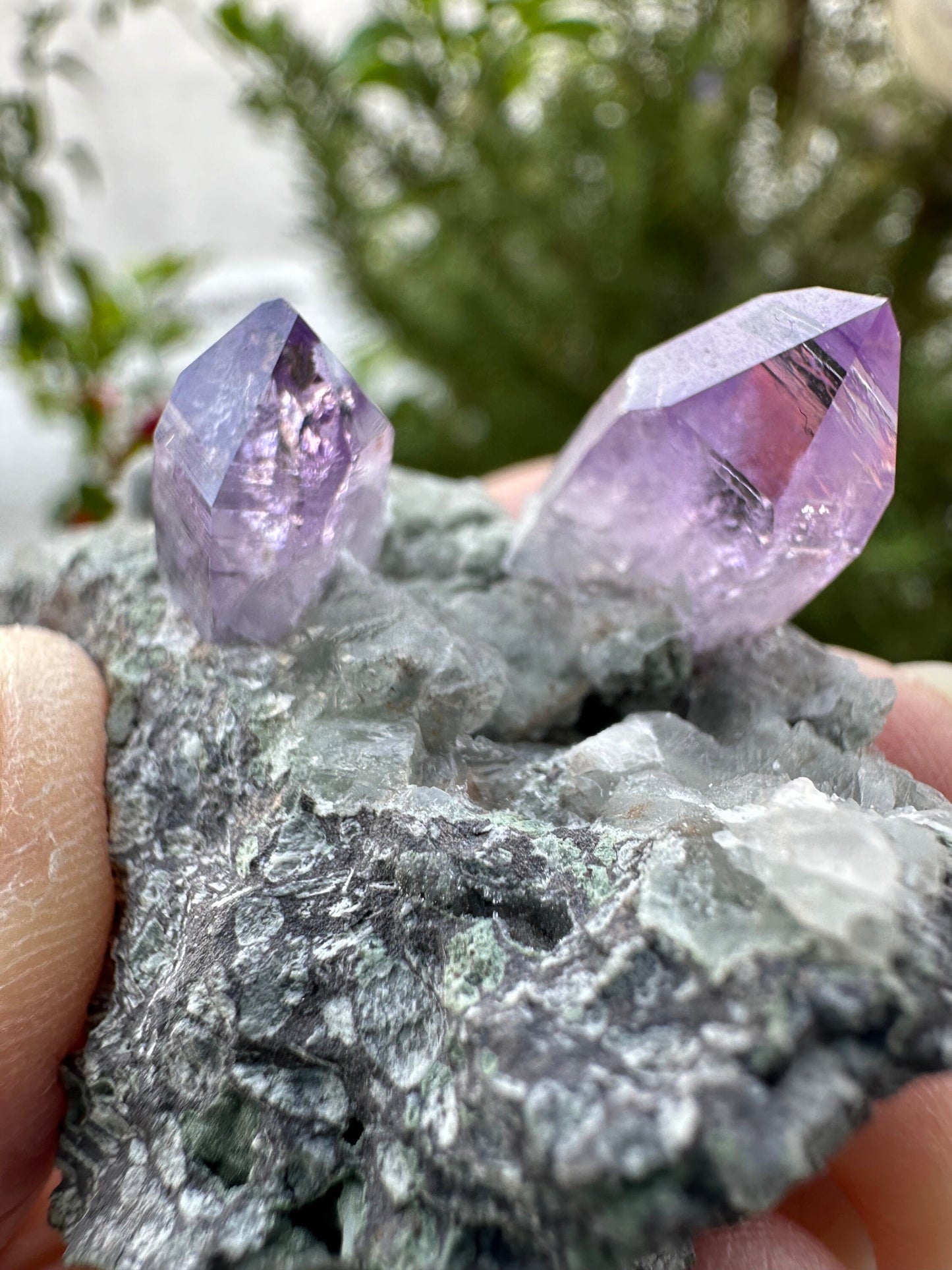 Veracruz Amethyst on Matrix