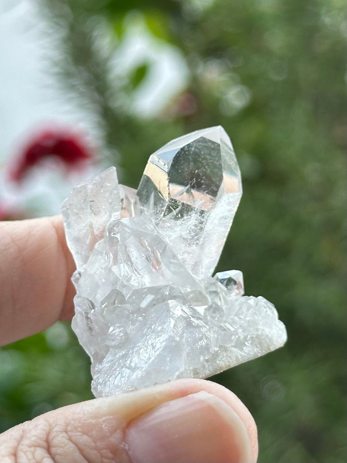 Clear Quartz Cluster from Brazil