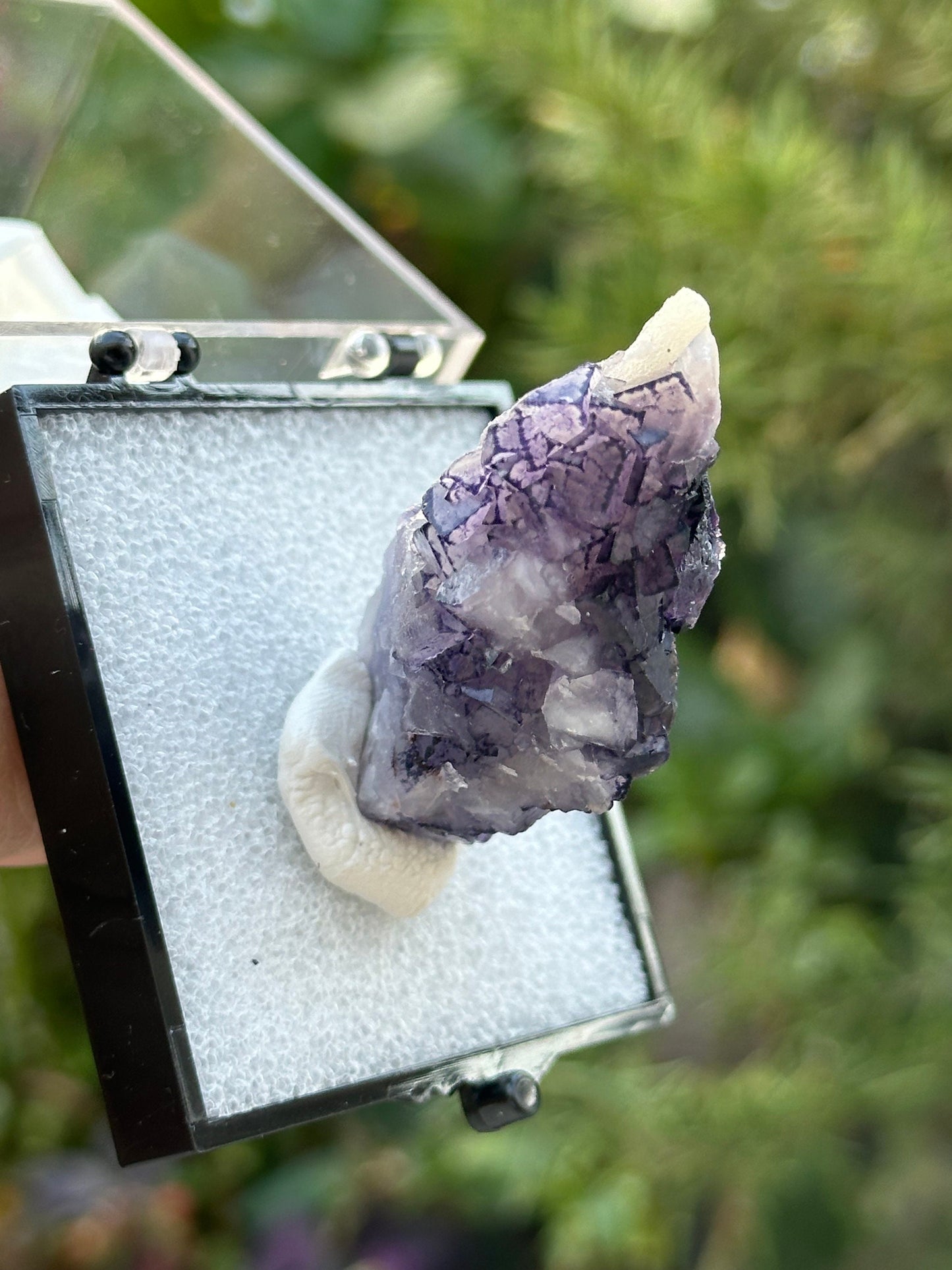 QR Code Fluorite in a perky box from Quinlong Mine, Guizhou, China