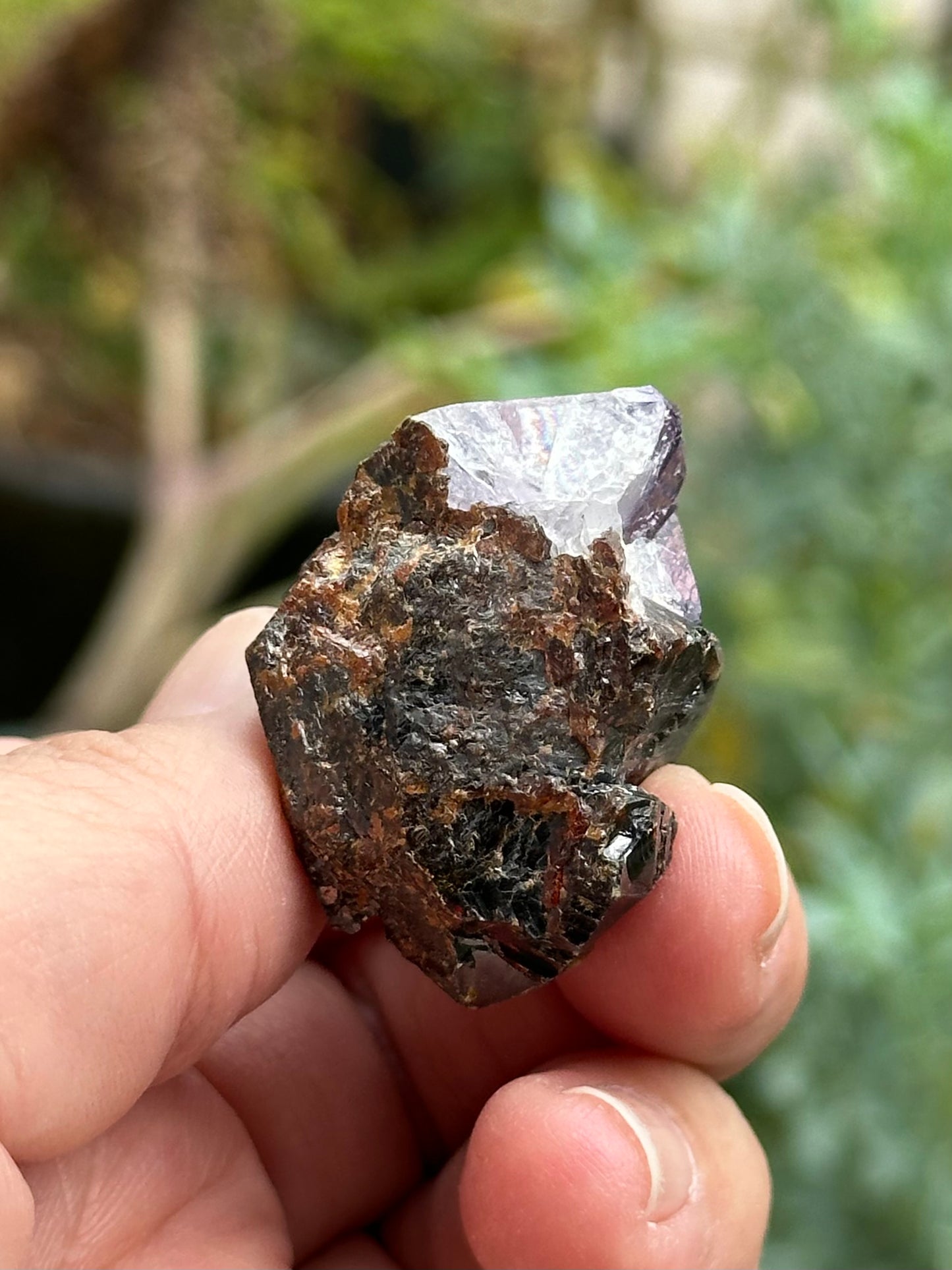Sphalerite with Fluorite from the Elmwood Mine