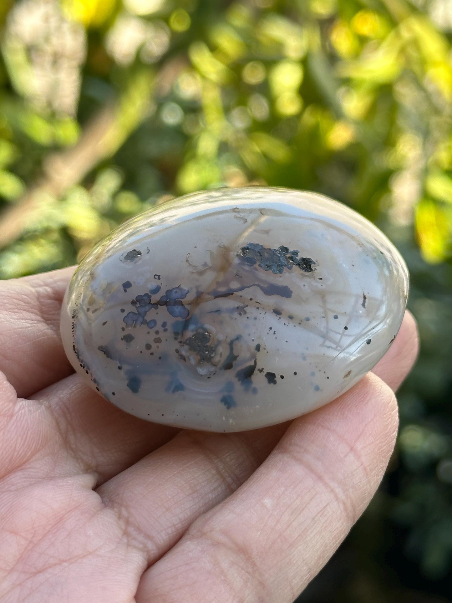 Small Dendritic Agate Palm Stone from Madagascar