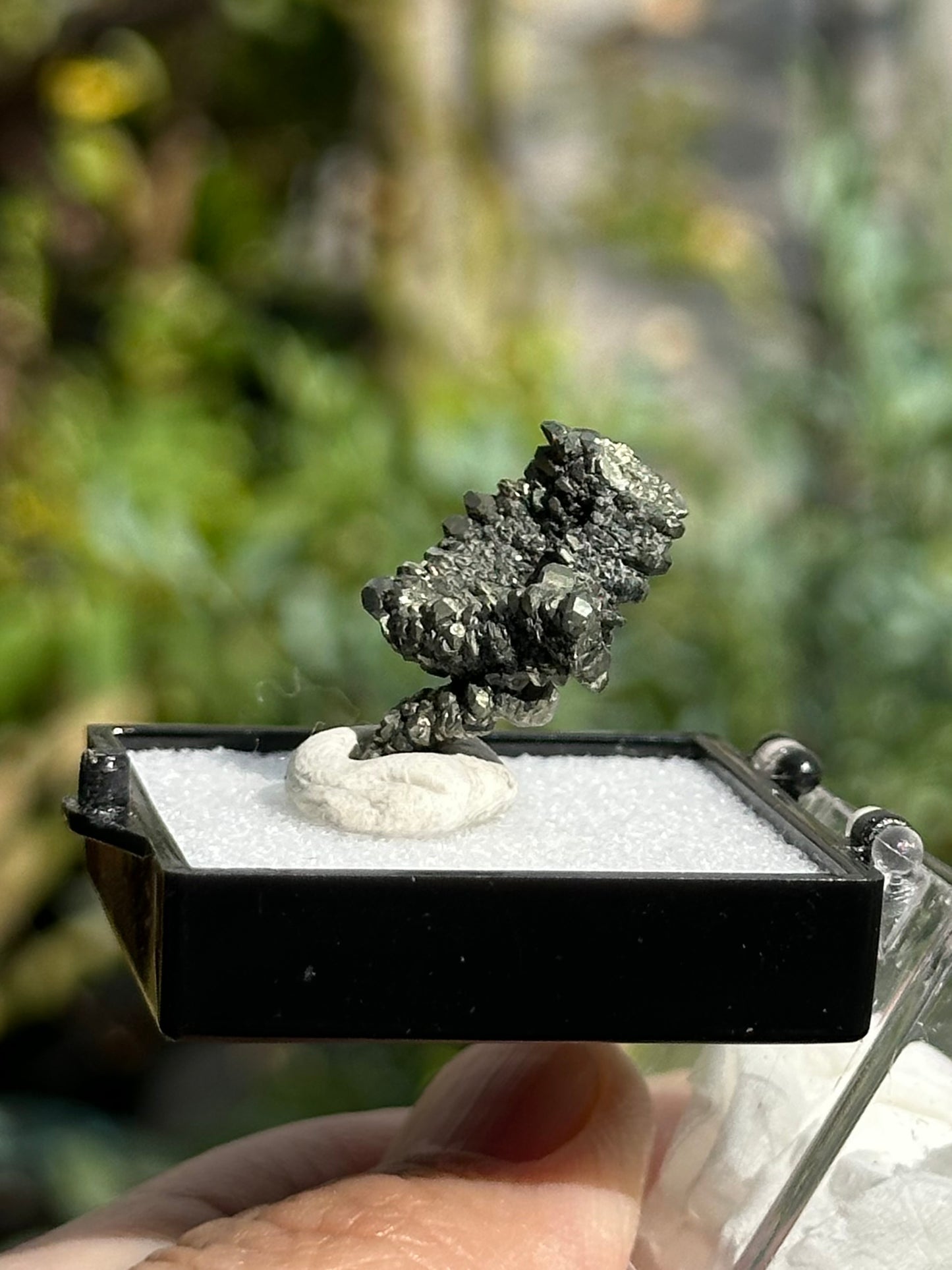 Marcasite Specimen from the Linwood Mine