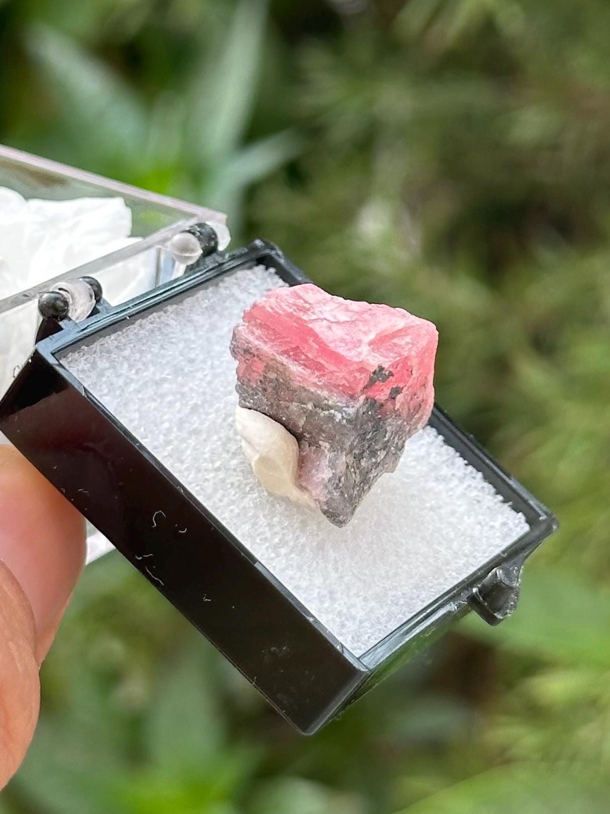 Rhodochrosite on Matrix Specimen in a perky box from Guangxi Wuzhou, China