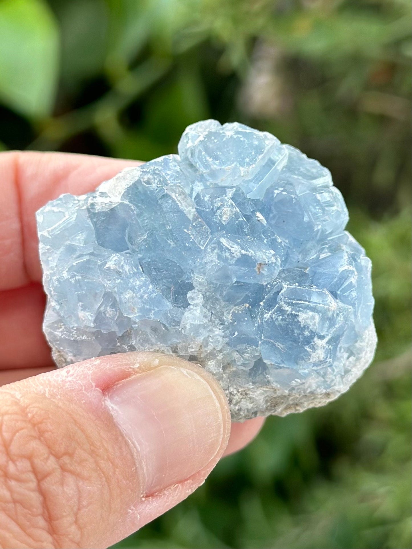 Celestite Cluster from Madagascar